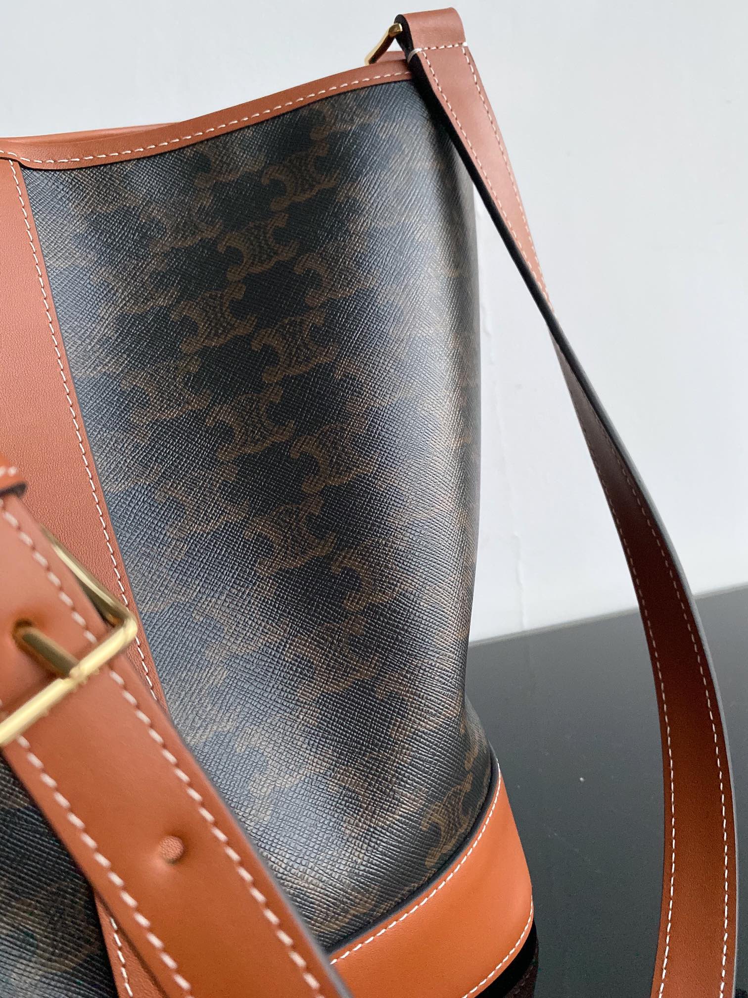 Women's Triomphe Canvas Small Bucket Bag in Tan and Brown Monogram