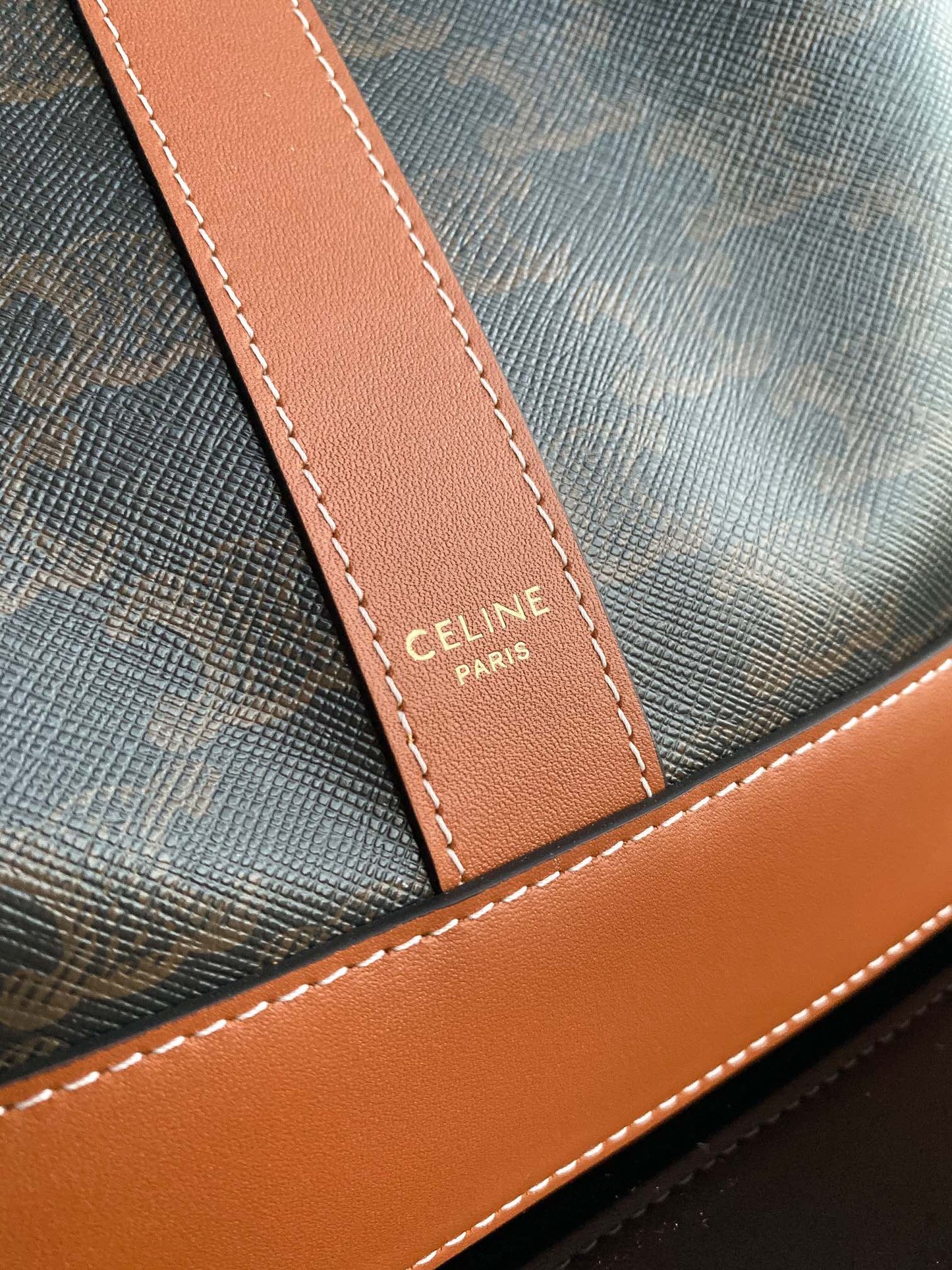 Women's Triomphe Canvas Small Bucket Bag in Tan and Brown Monogram