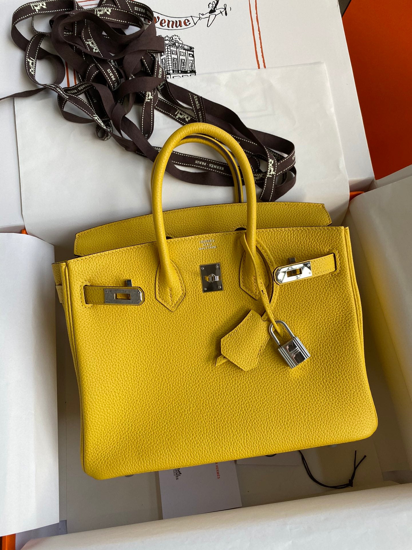 Hermès Birkin Bag Yellow Leather with Silver Hardware
