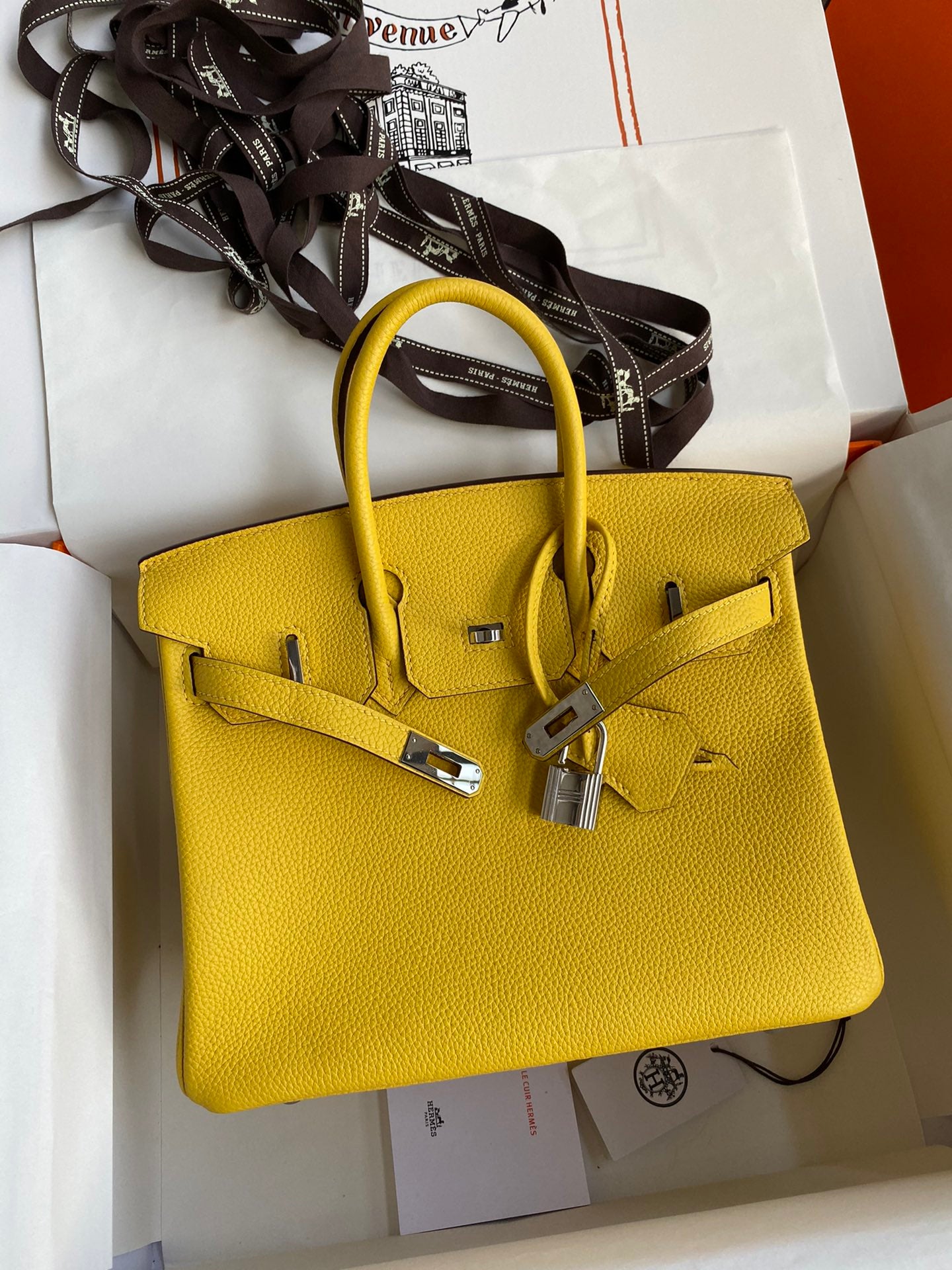 Hermès Birkin Bag Yellow Leather with Silver Hardware