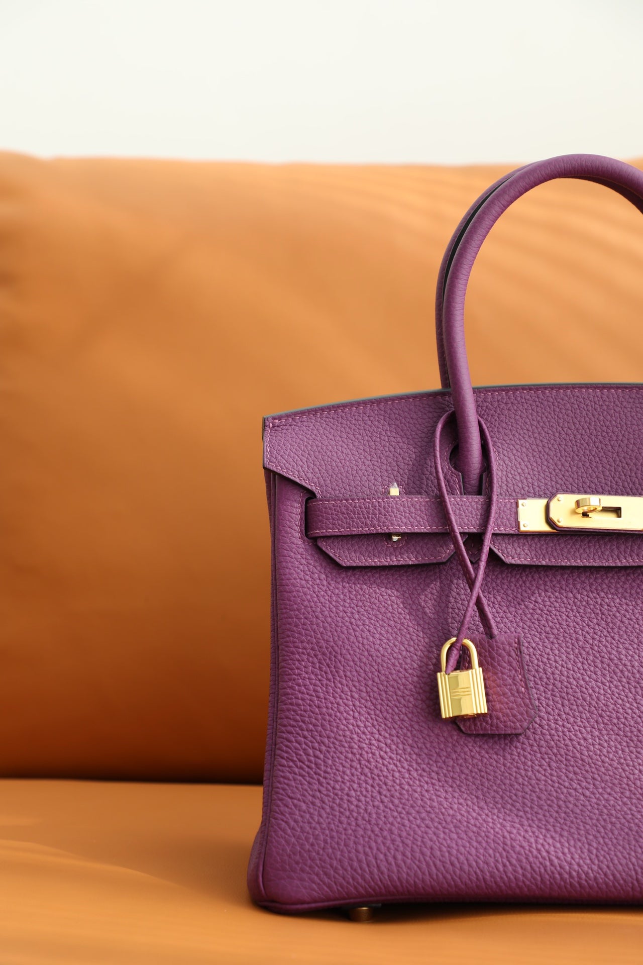 Luxury Purple Leather Handbag with Gold Hardware - Classic Designer Style