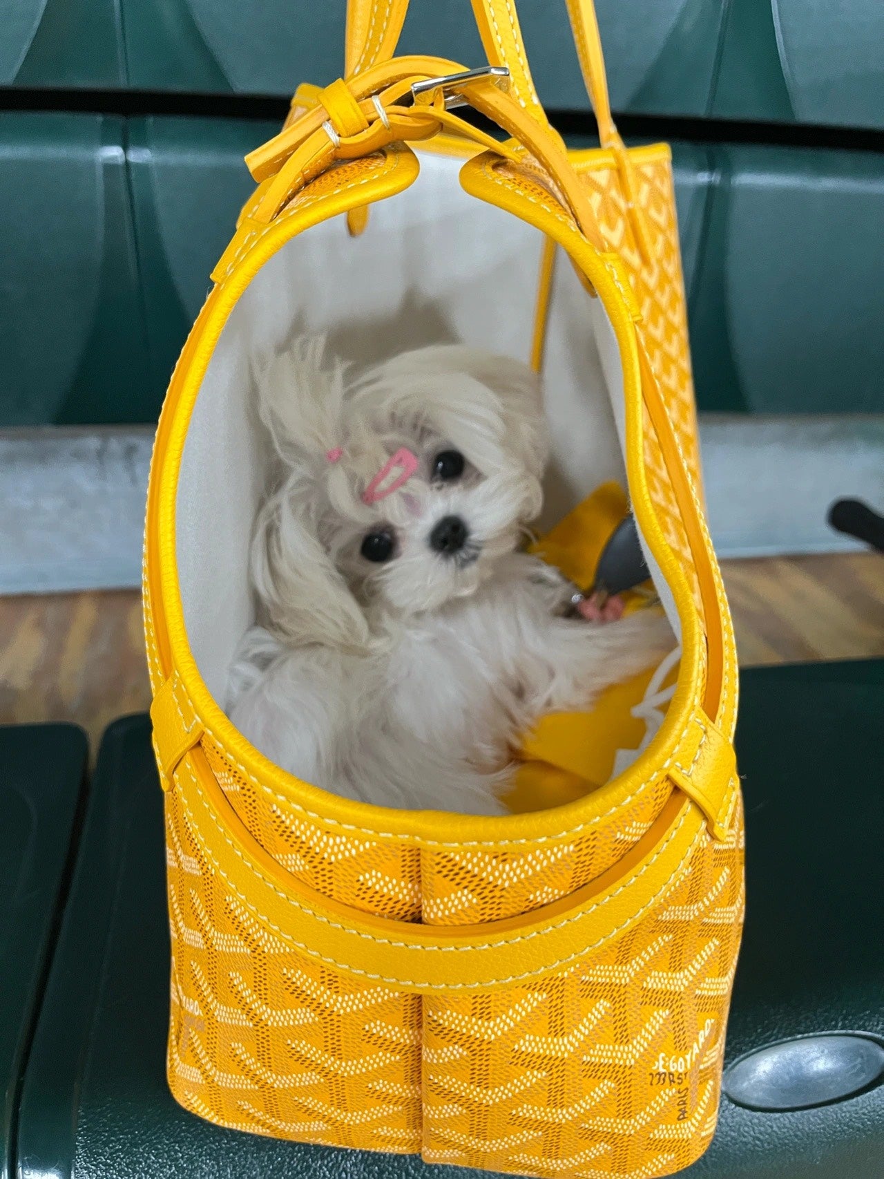 Gogy Luxury Yellow Chevron Pattern Pet Carrier Tote Bag for Small Dogs