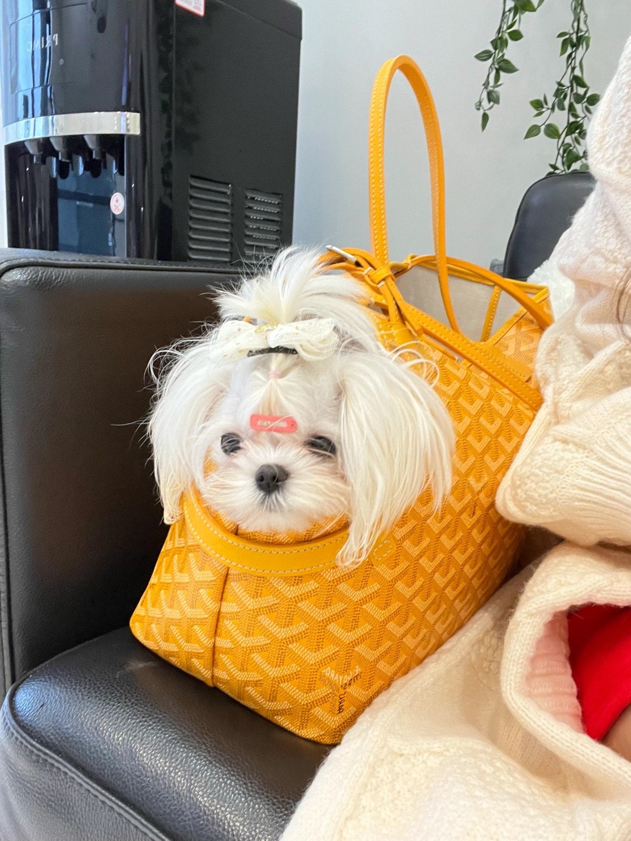 Gogy Luxury Yellow Chevron Pattern Pet Carrier Tote Bag for Small Dogs