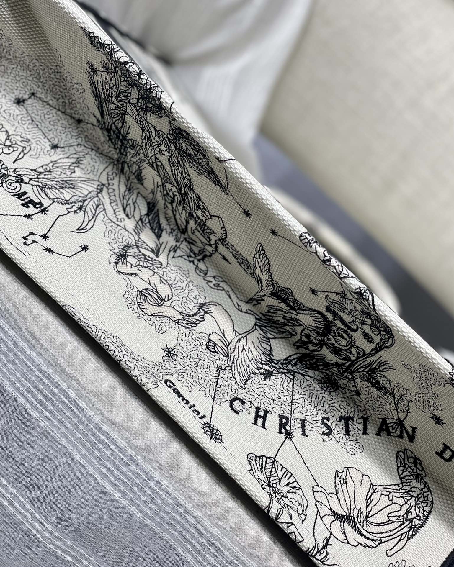 Dior Celestial Zodiac Constellation Print Canvas Tote Handbag