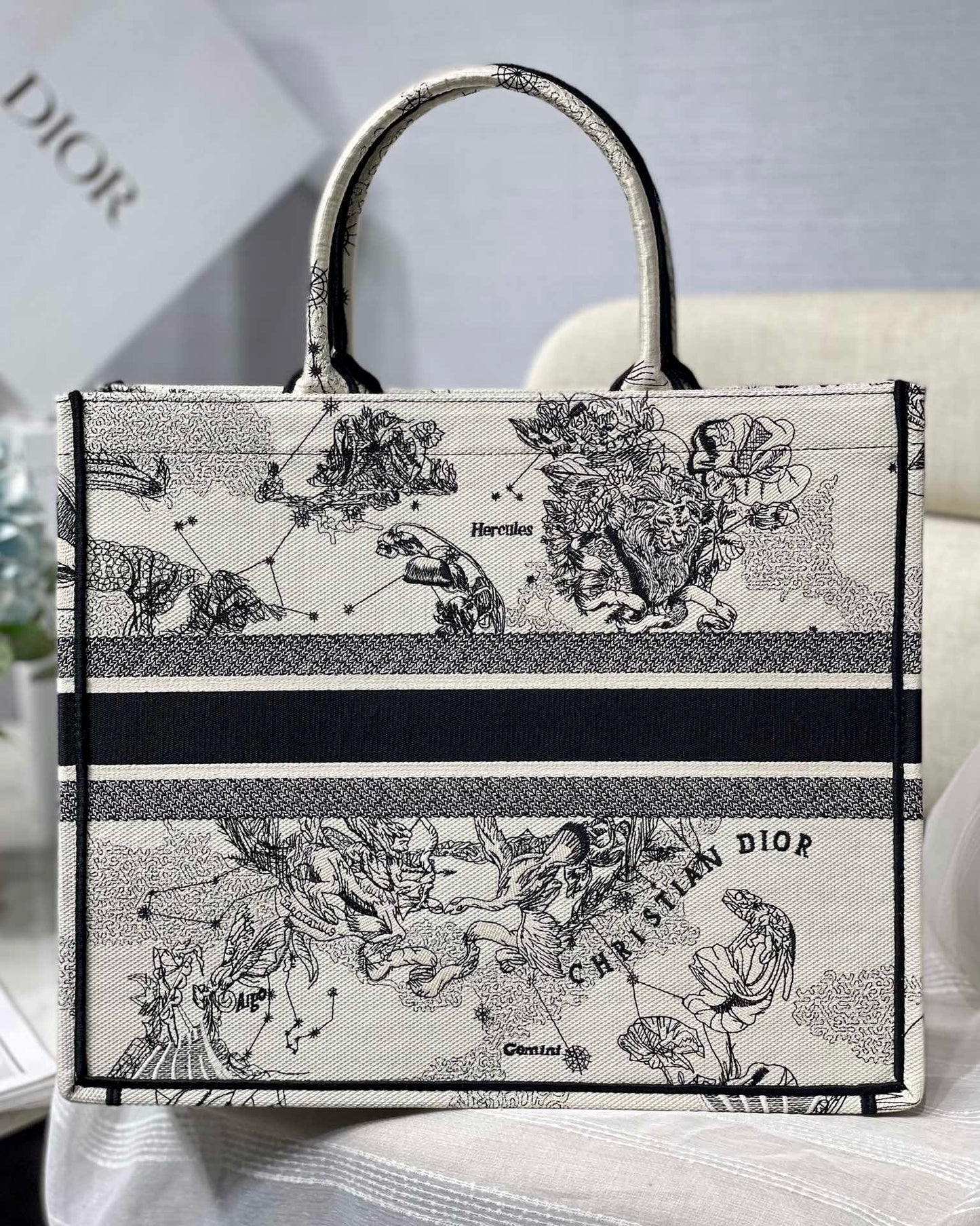 Christian Dior Book Tote Blue and White Zodiac Embroidered Canvas Bag