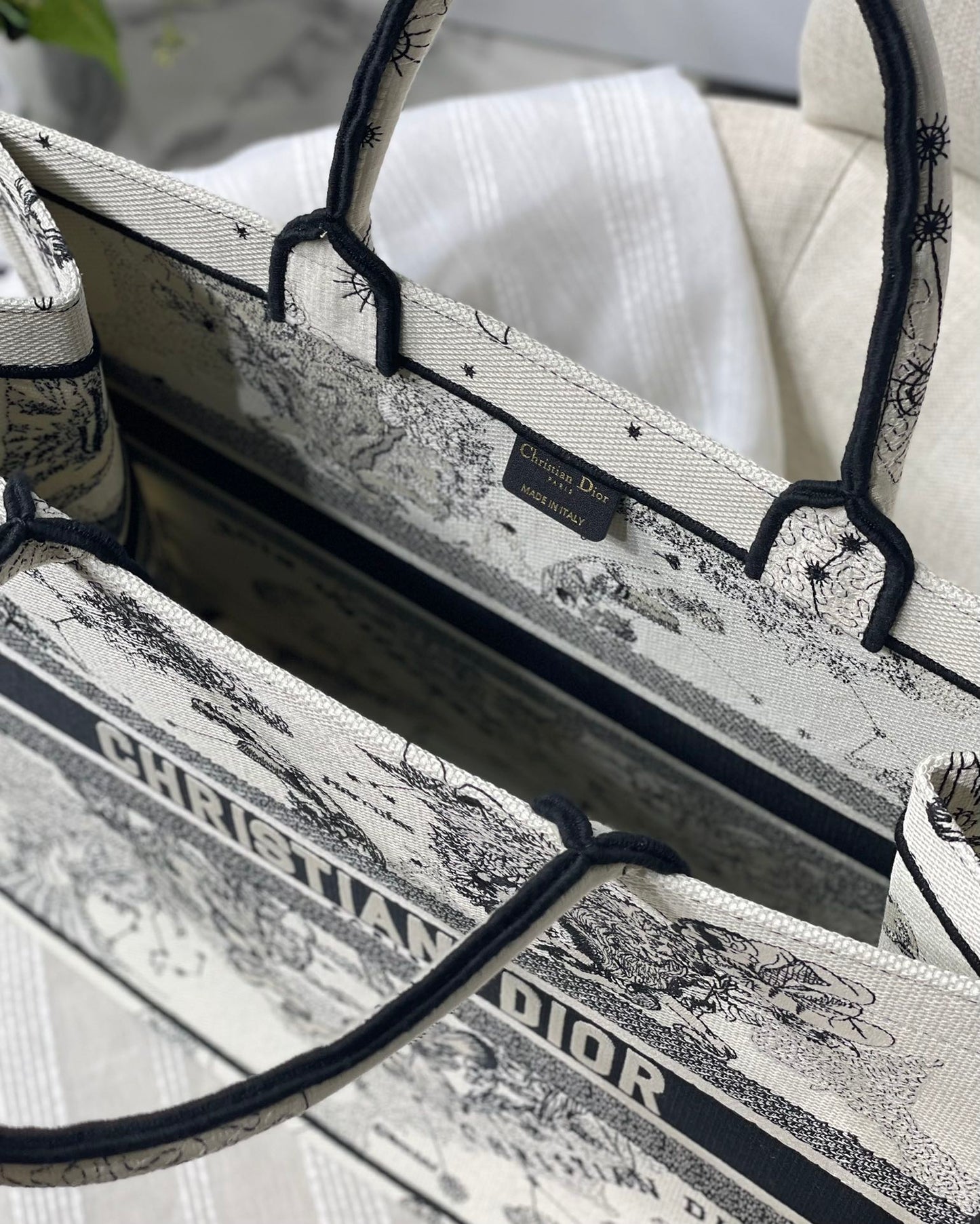Christian Dior Book Tote Blue and White Zodiac Embroidered Canvas Bag