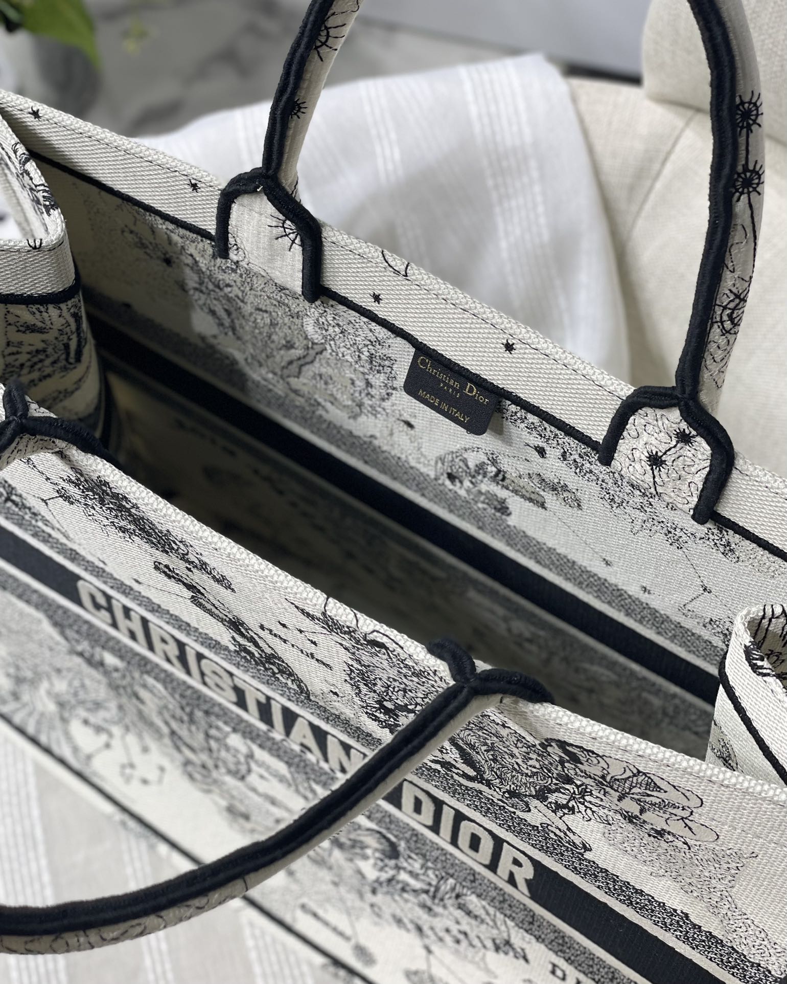 Dior Celestial Zodiac Constellation Print Canvas Tote Handbag