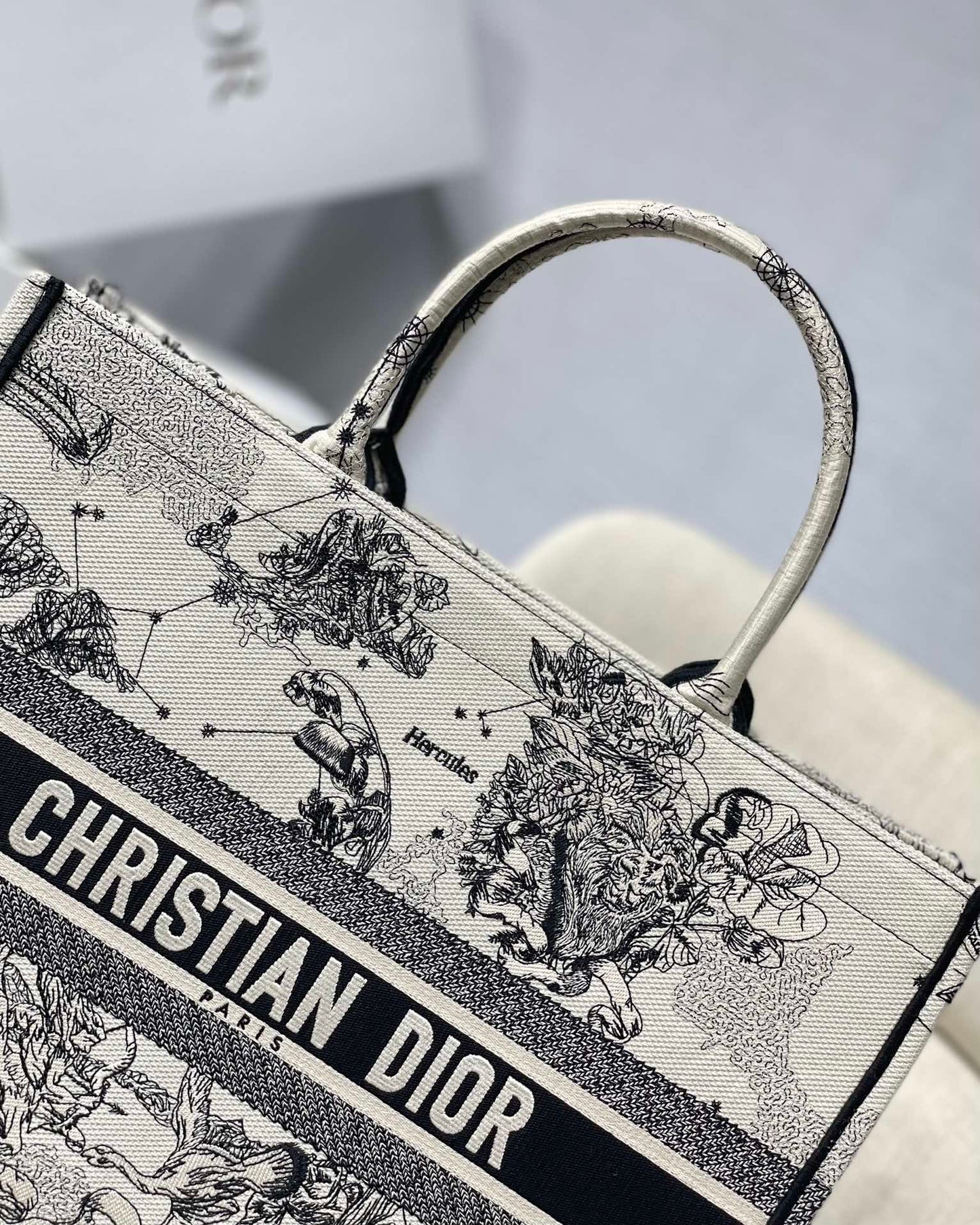 Christian Dior Book Tote Blue and White Zodiac Embroidered Canvas Bag