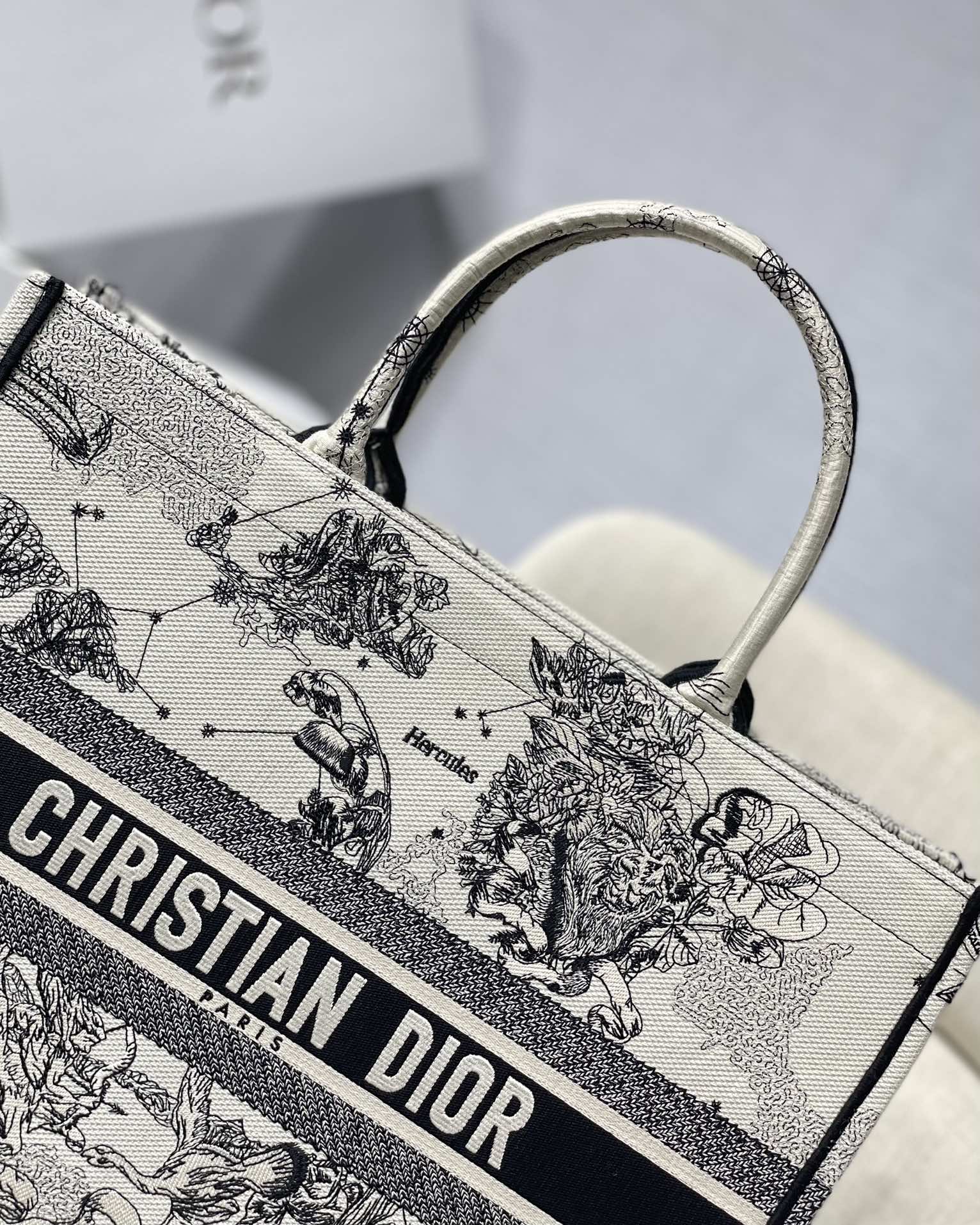 Dior Celestial Zodiac Constellation Print Canvas Tote Handbag