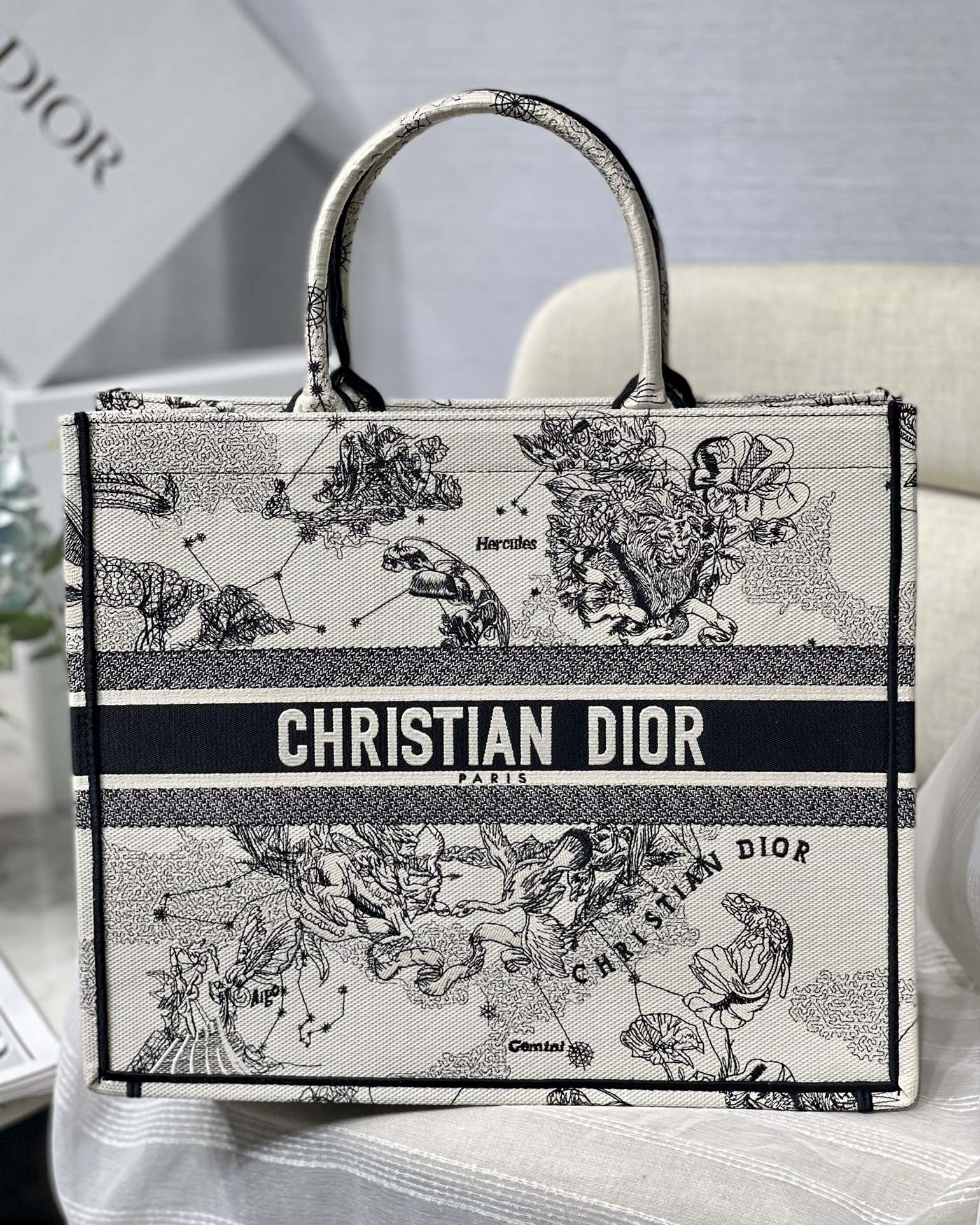 Christian Dior Book Tote Blue and White Zodiac Embroidered Canvas Bag