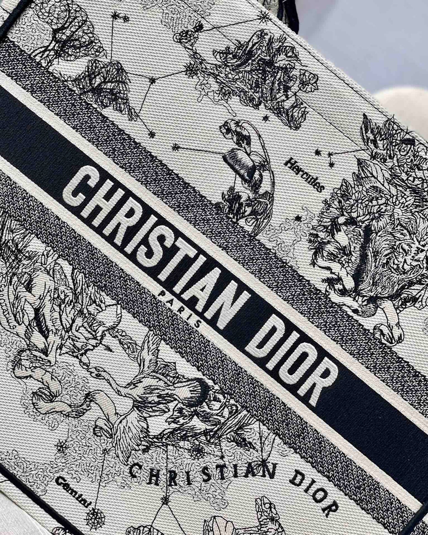 Christian Dior Book Tote Blue and White Zodiac Embroidered Canvas Bag