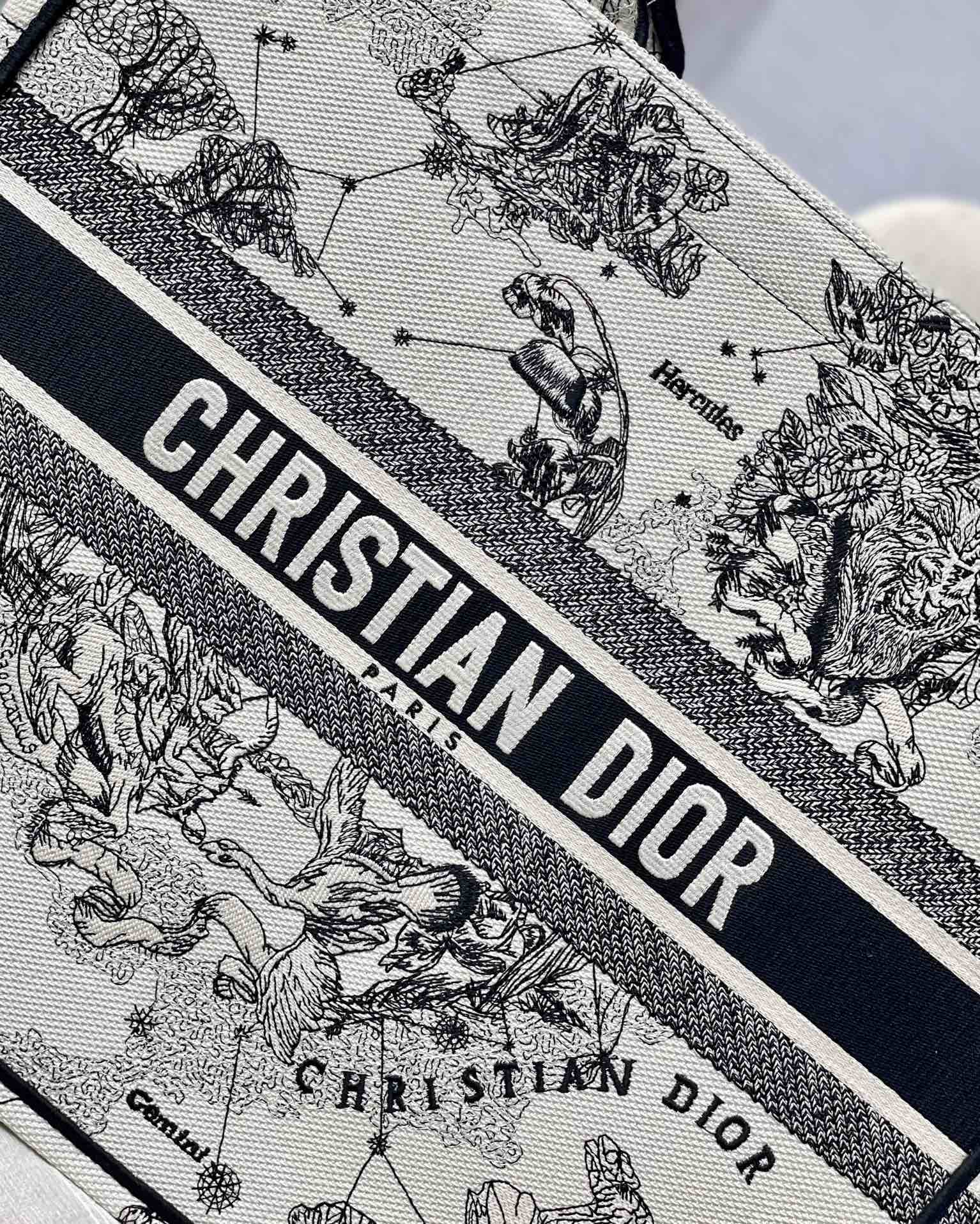 Christian Dior Book Tote Blue and White Zodiac Embroidered Canvas Bag
