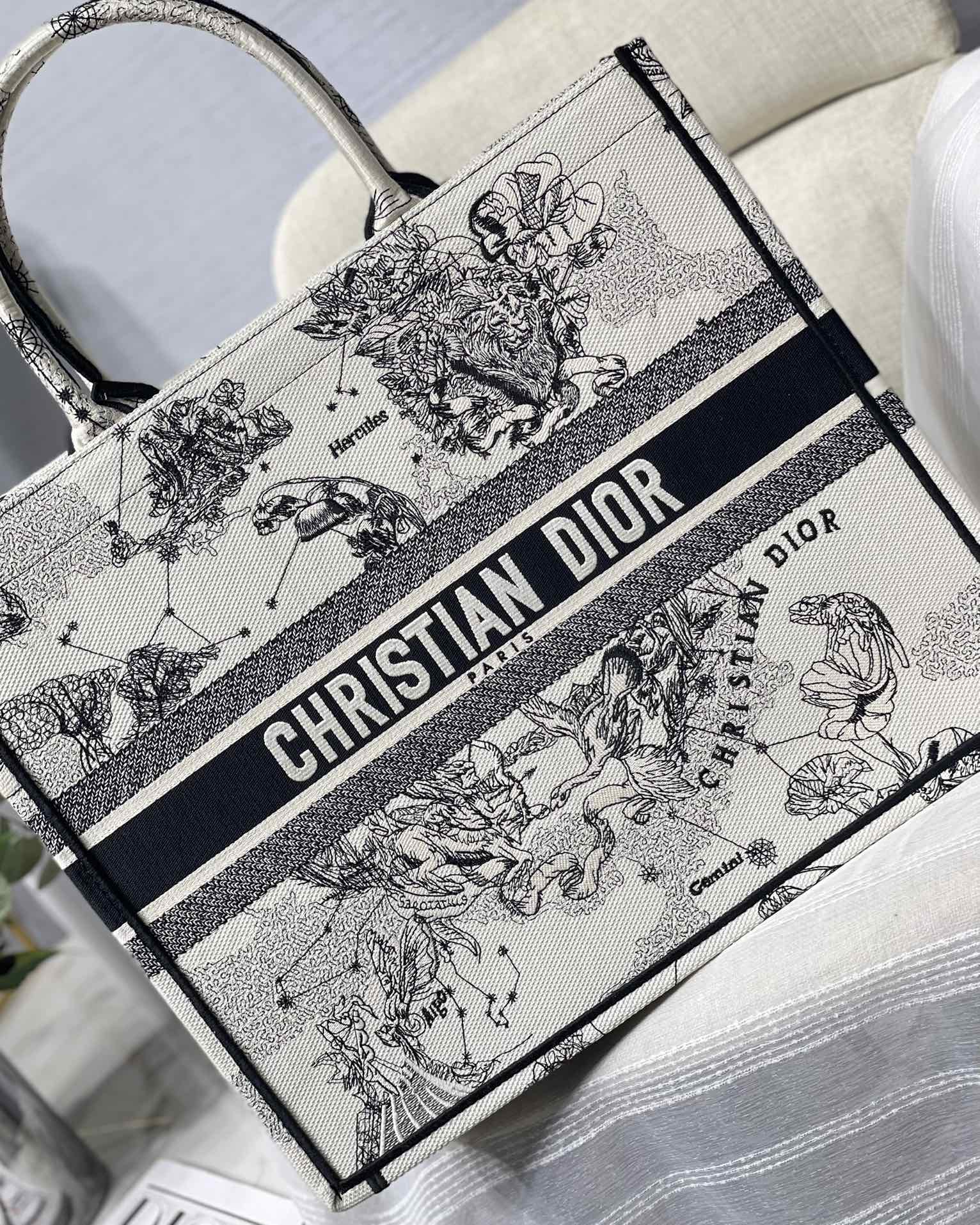 Christian Dior Book Tote Blue and White Zodiac Embroidered Canvas Bag