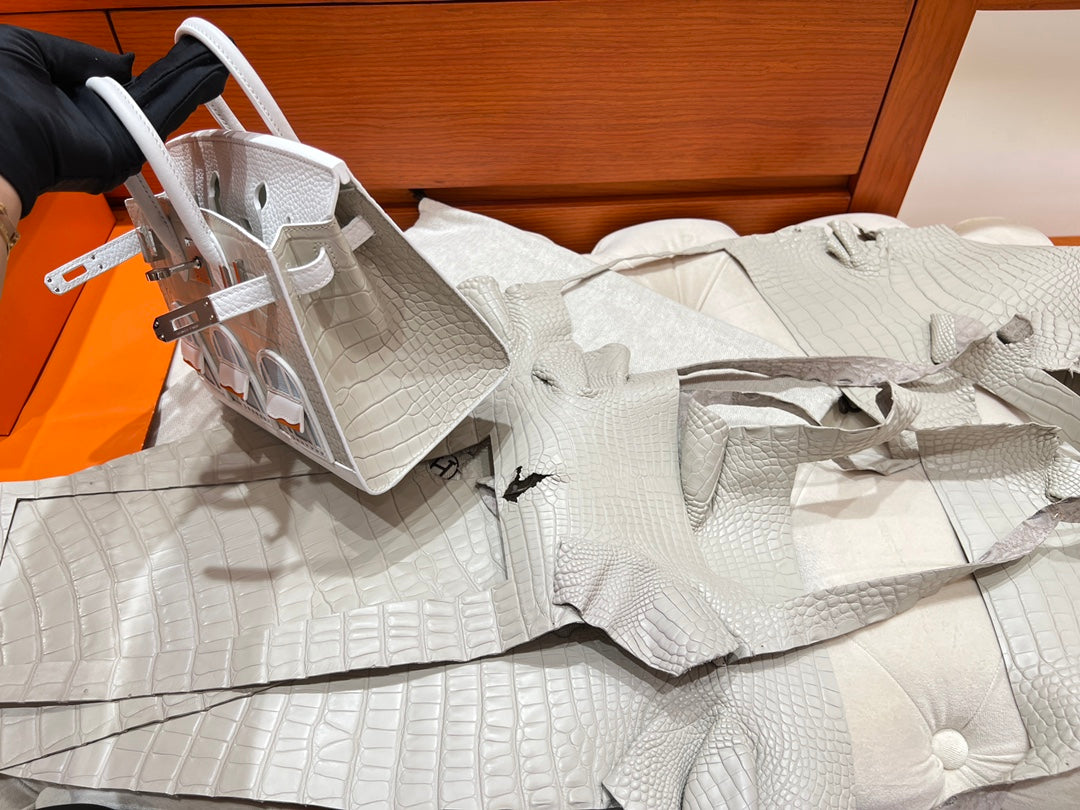 Hermès Birkin 20 Faubourg Neige Matte Alligator &amp; Epsom Leather White Handbag