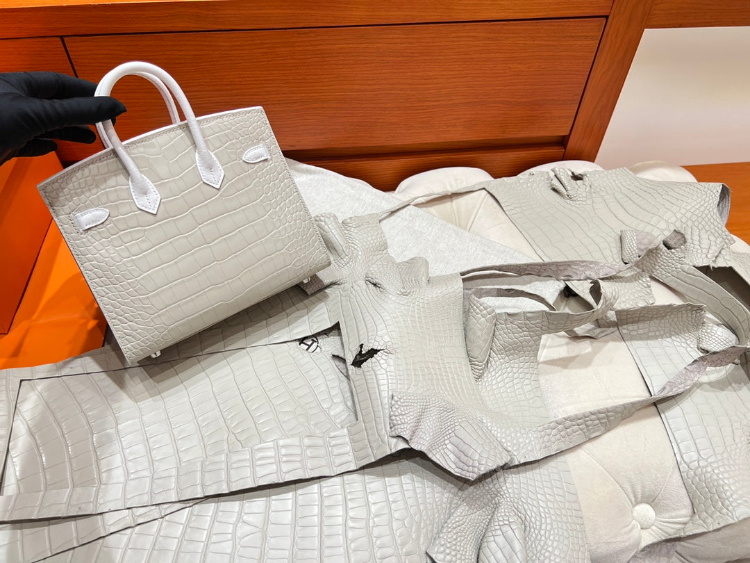 Hermès Birkin 20 Faubourg Neige Matte Alligator &amp; Epsom Leather White Handbag