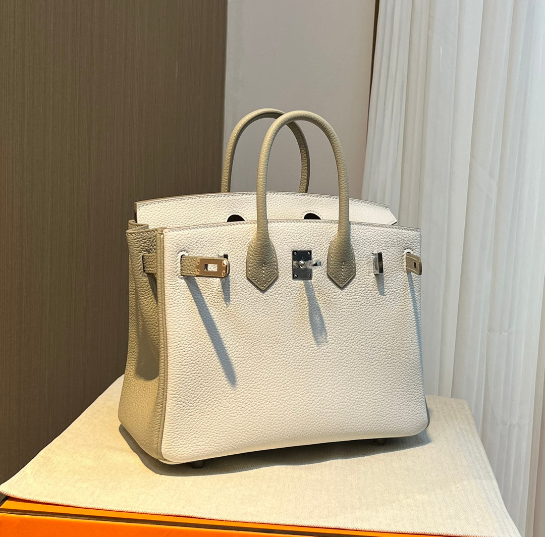 Hermès Birkin 25 Bicolor Handbag - Nata &amp; Etain Epsom Leather
