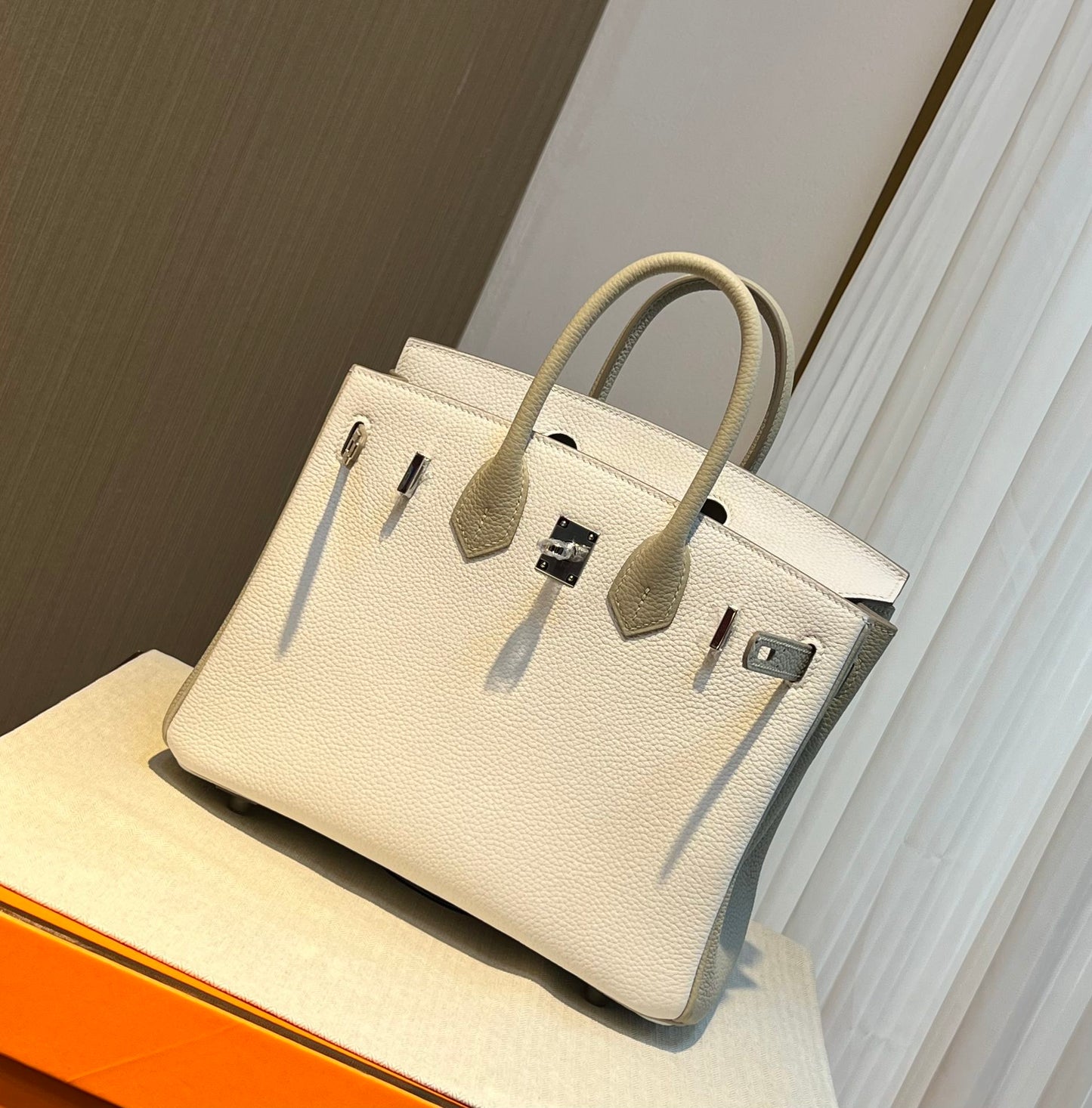 Hermès Birkin 25 Bicolor Handbag - Nata &amp; Etain Epsom Leather