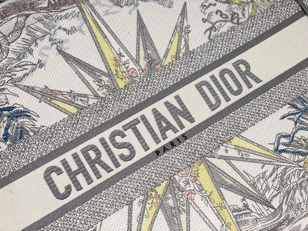 Christian Dior Book Tote Bag with Embroidered Constellation Pattern