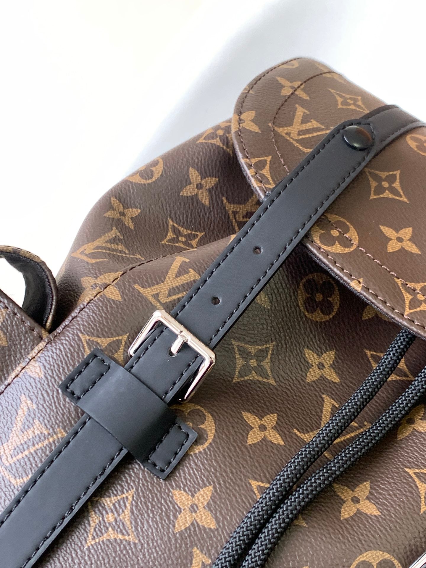 Louis Vuitton Christopher PM Backpack Monogram Macassar Canvas
