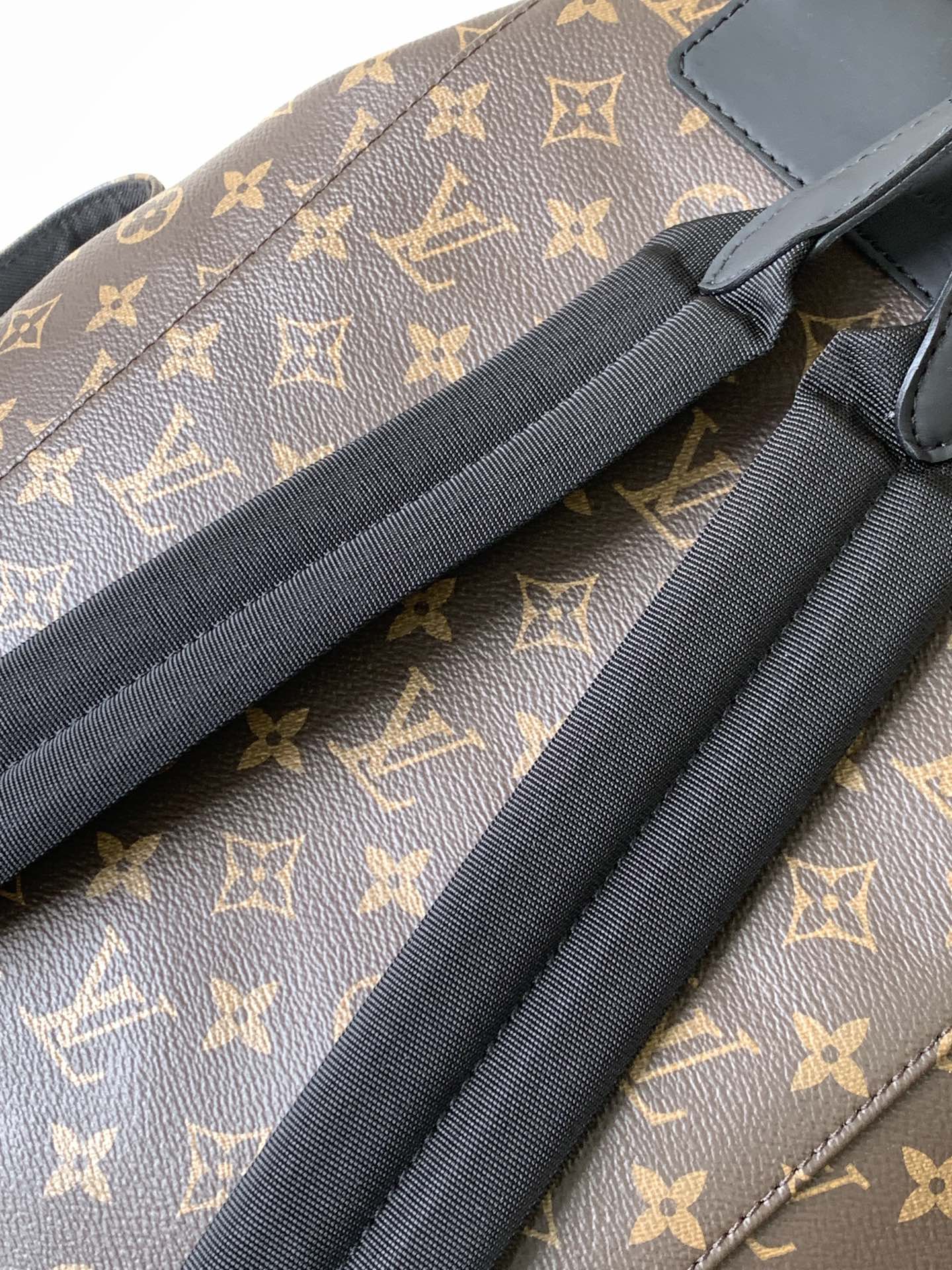 Louis Vuitton Christopher PM Backpack Monogram Macassar Canvas
