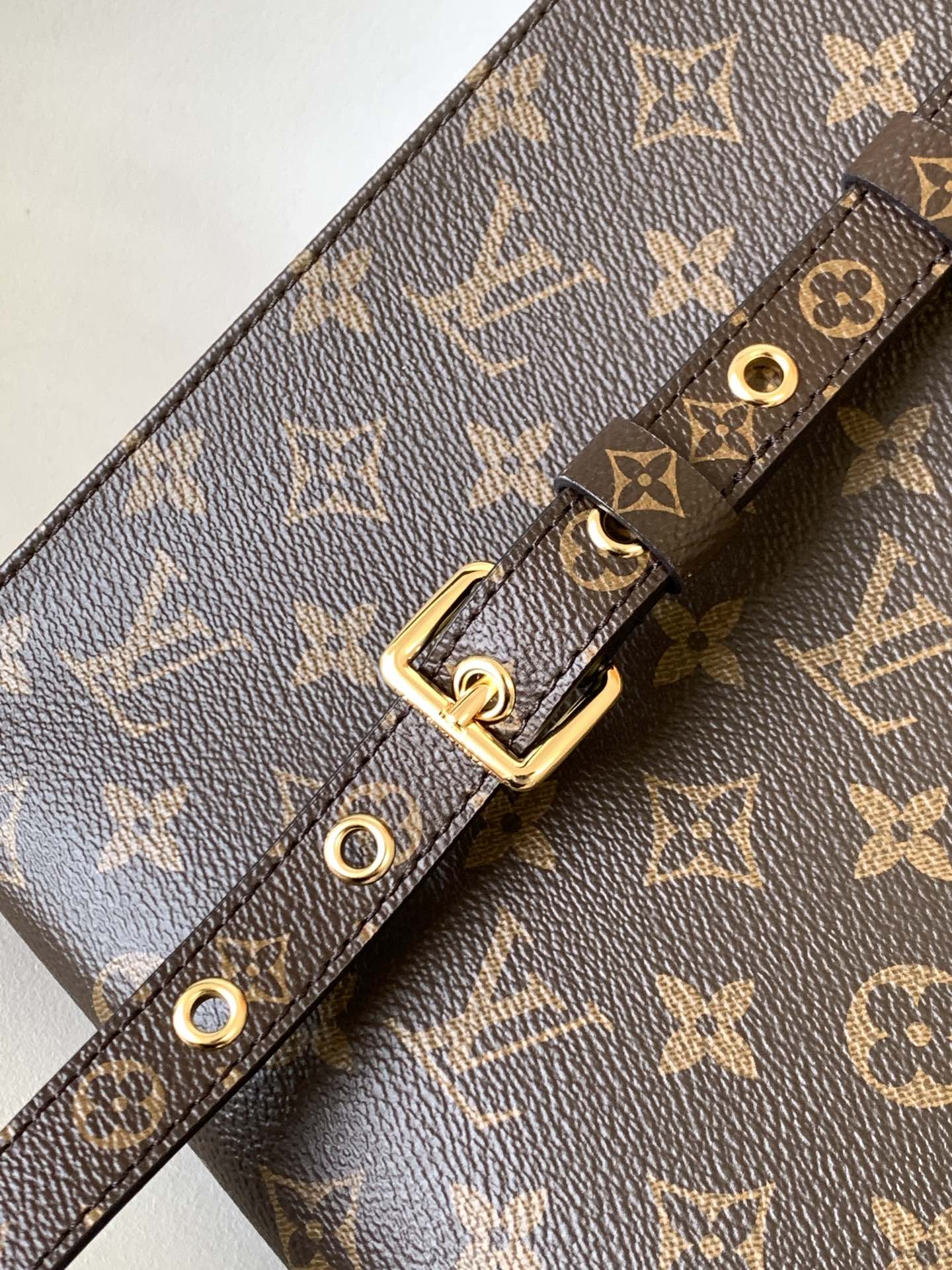 Louis Vuitton Monogram Canvas Petit Palais Tote Bag - Brown