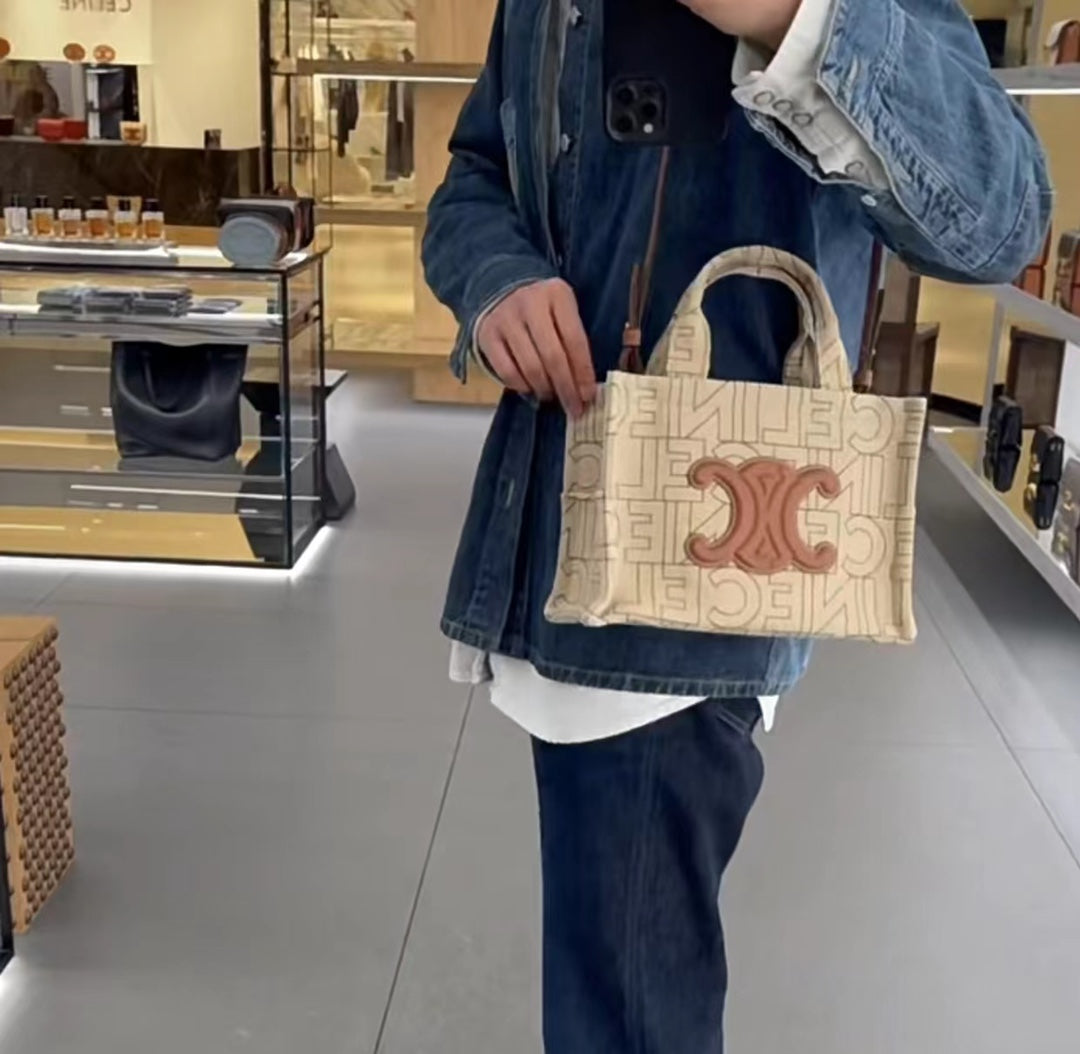 Celine Mini Cabas Triomphe in Textile and Calfskin - Beige/Tan