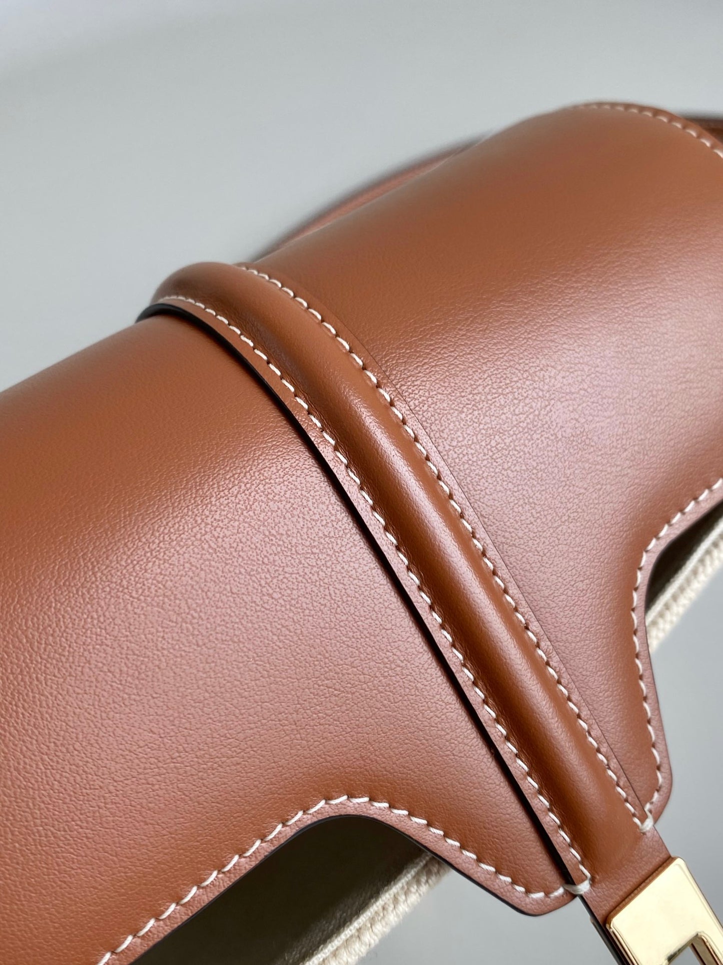 Elegant Two-Tone Canvas and Leather Crossbody Shoulder Bag with Gold Hardware