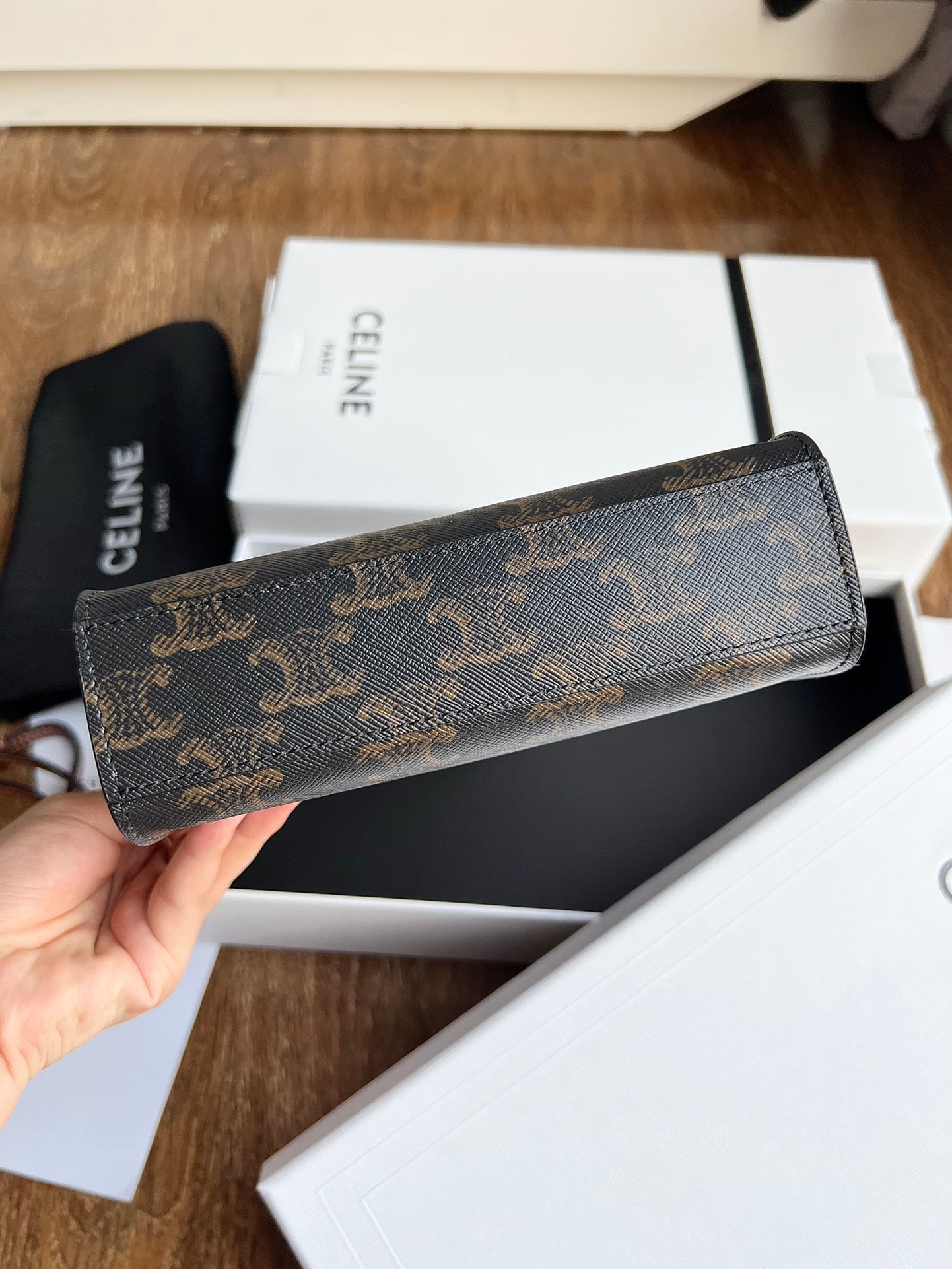 Celine Mini Vertical Cabas in Triomphe Canvas with Celine Print - Tan/Black