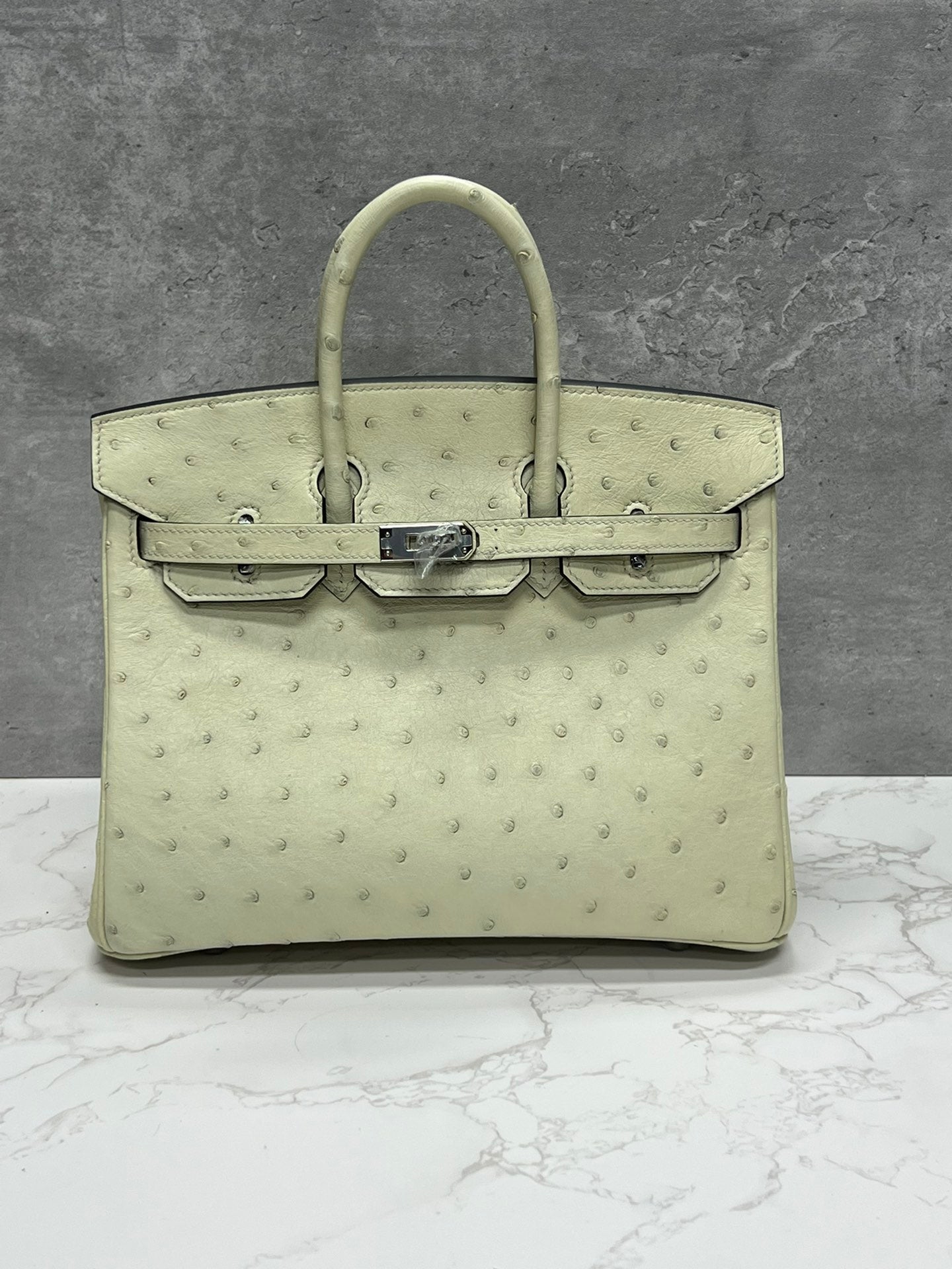 Luxury Ostrich Leather Handbag - Cream Top Handle Tote Bag