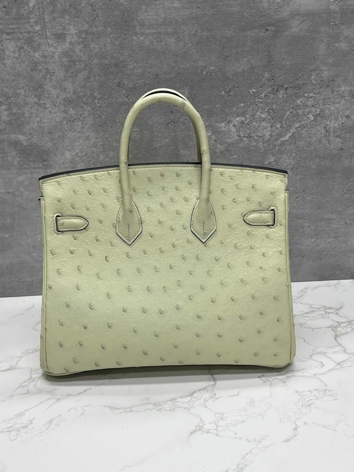 Luxury Ostrich Leather Handbag - Cream Top Handle Tote Bag