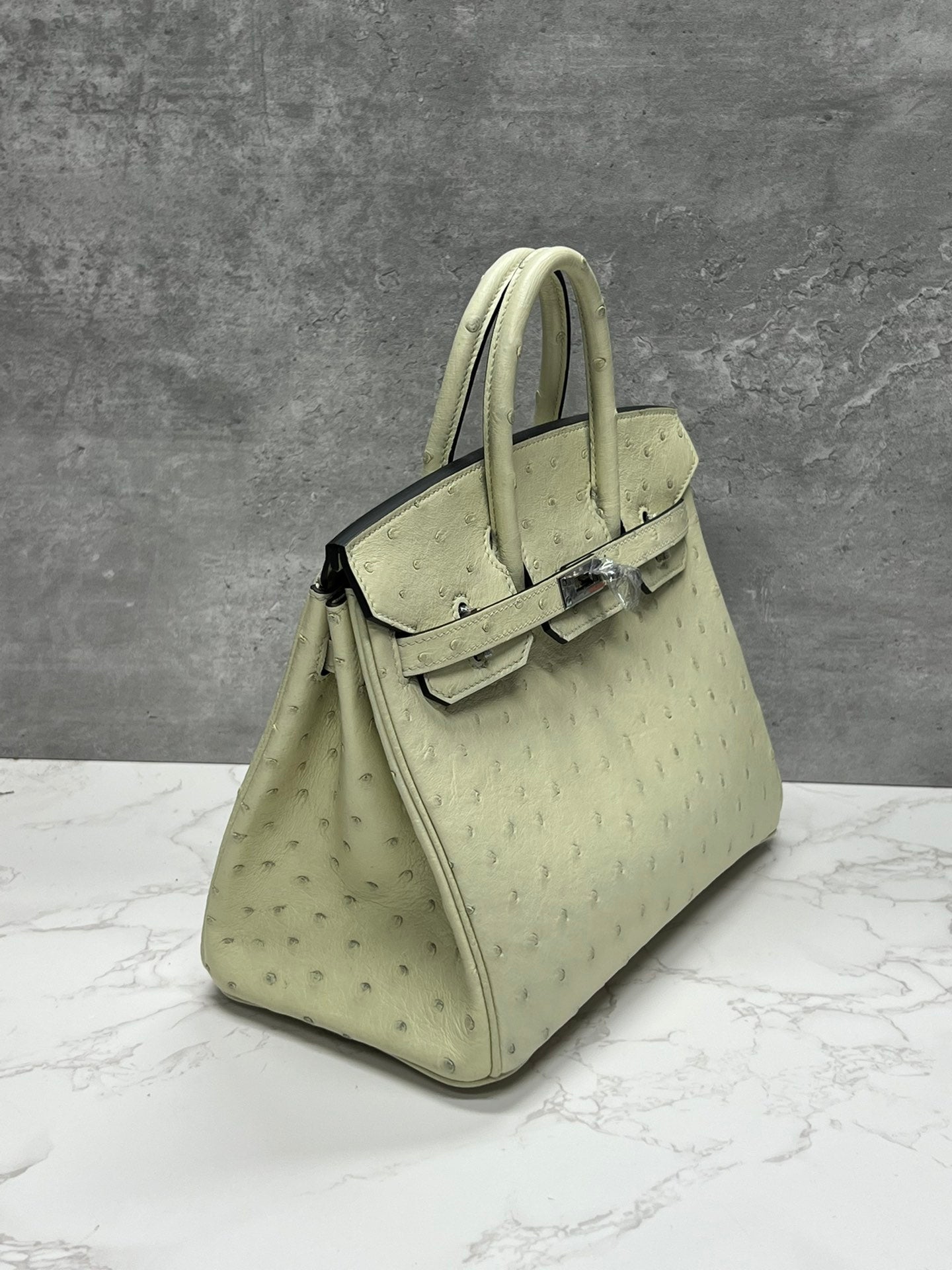 Luxury Ostrich Leather Handbag - Cream Top Handle Tote Bag