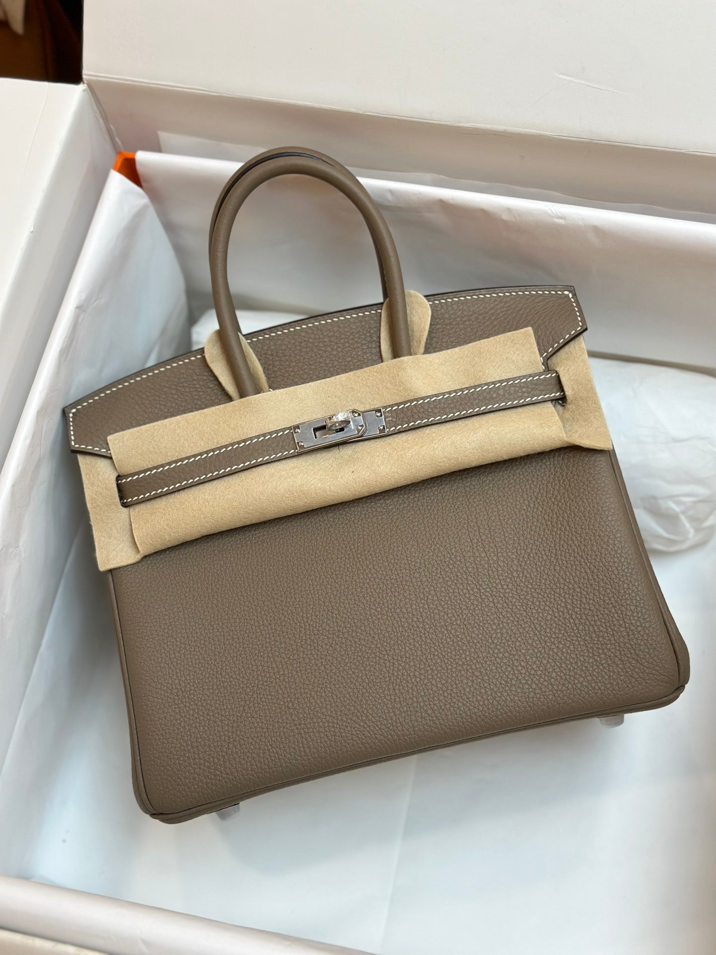 Luxury Taupe Leather Handbag with Silver-Tone Hardware
