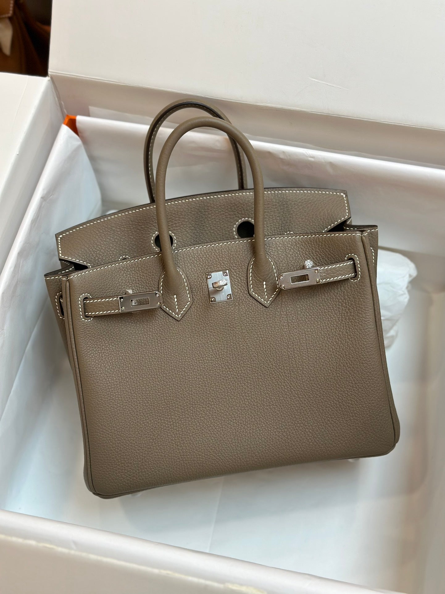 Luxury Taupe Leather Handbag with Silver-Tone Hardware