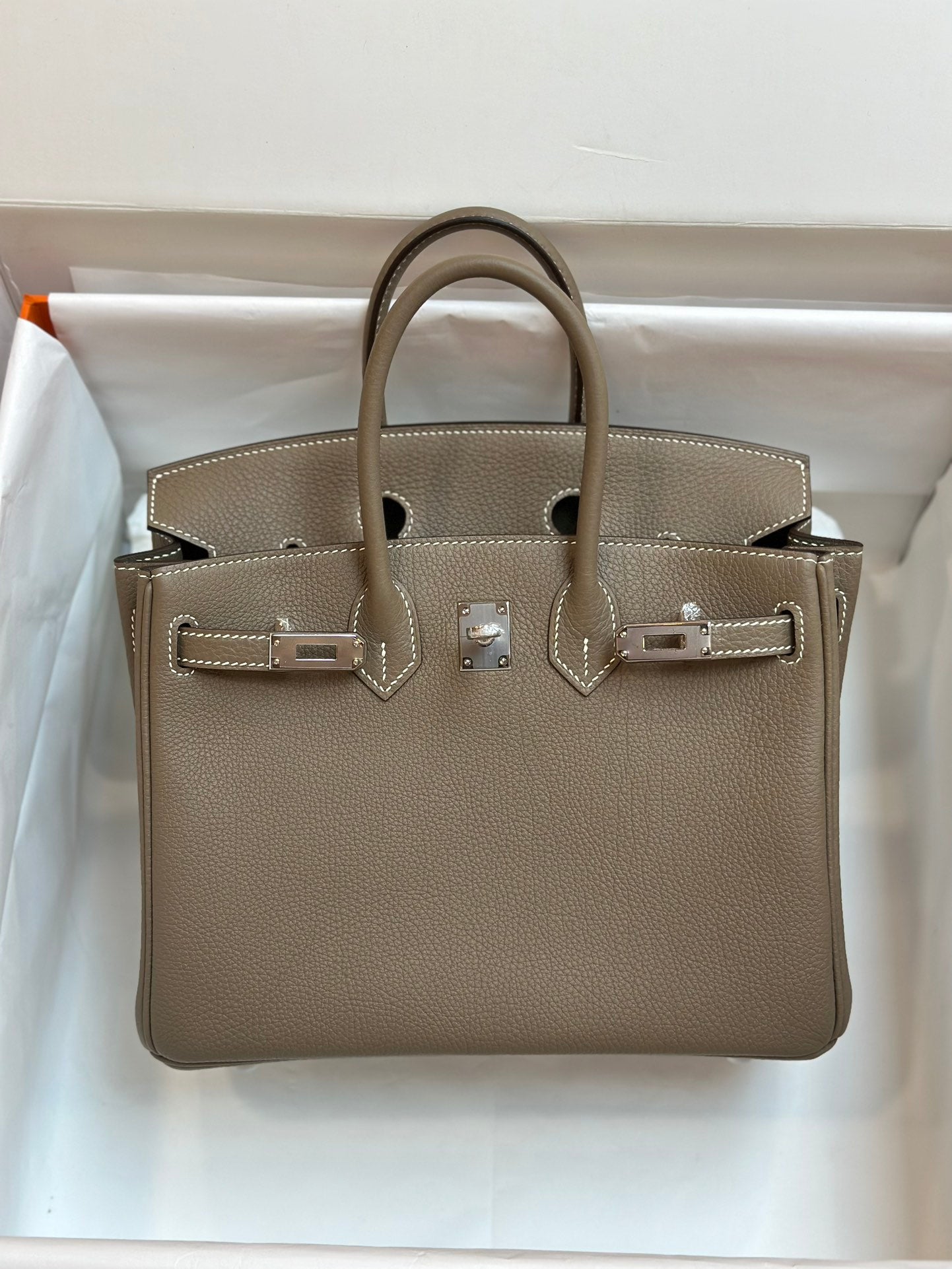Luxury Taupe Leather Handbag with Silver-Tone Hardware