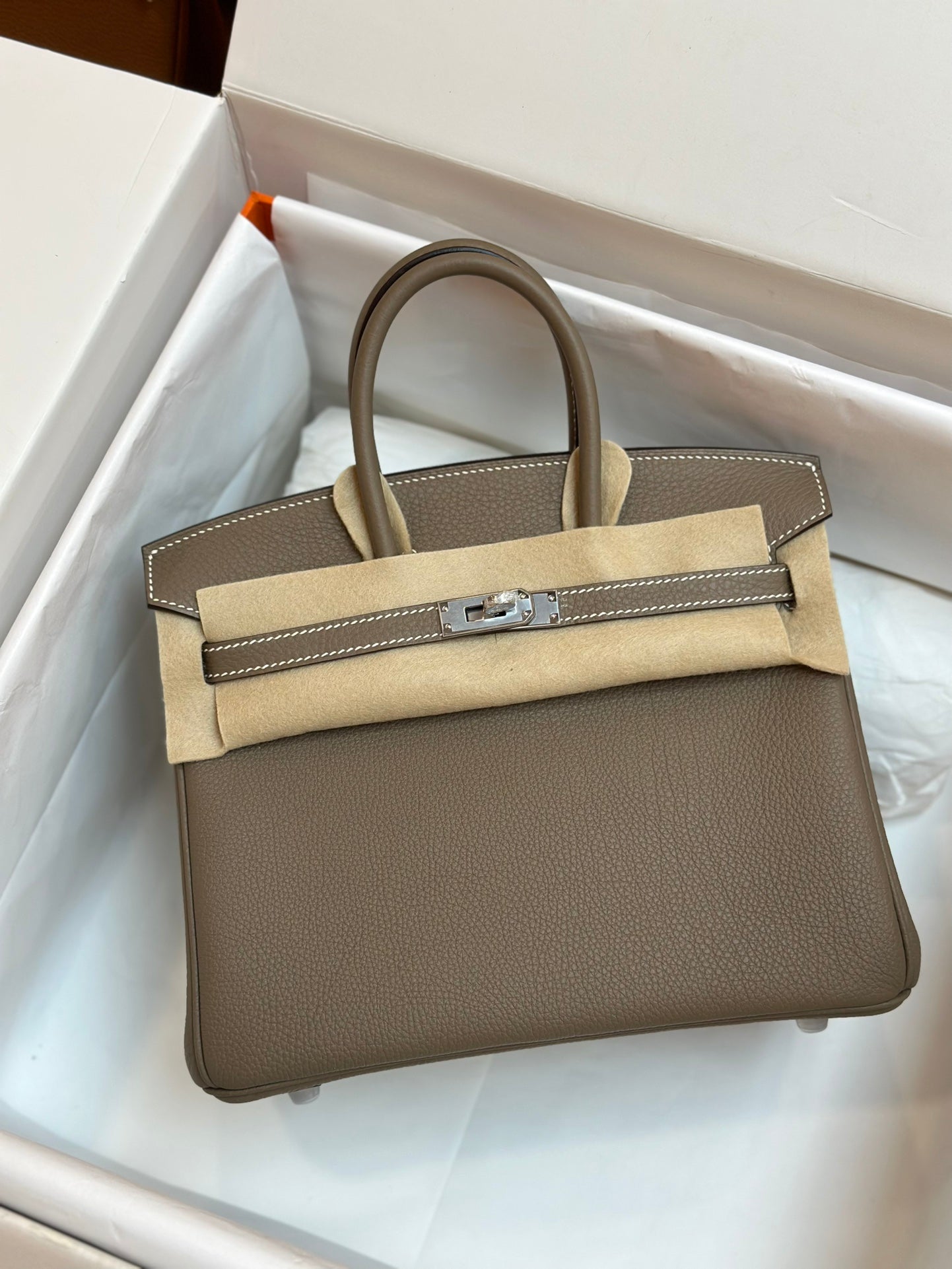 Luxury Taupe Leather Handbag with Silver-Tone Hardware