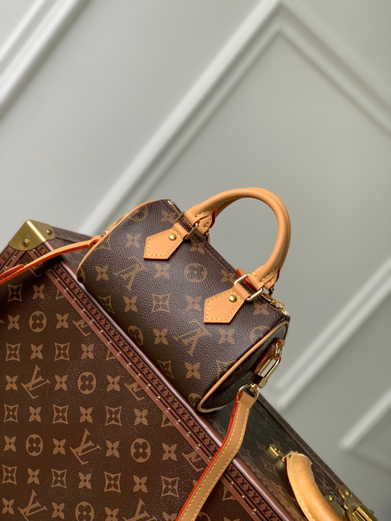 Louis Vuitton Nano Speedy Monogram Canvas Vivienne Mascot Limited Edition Handbag