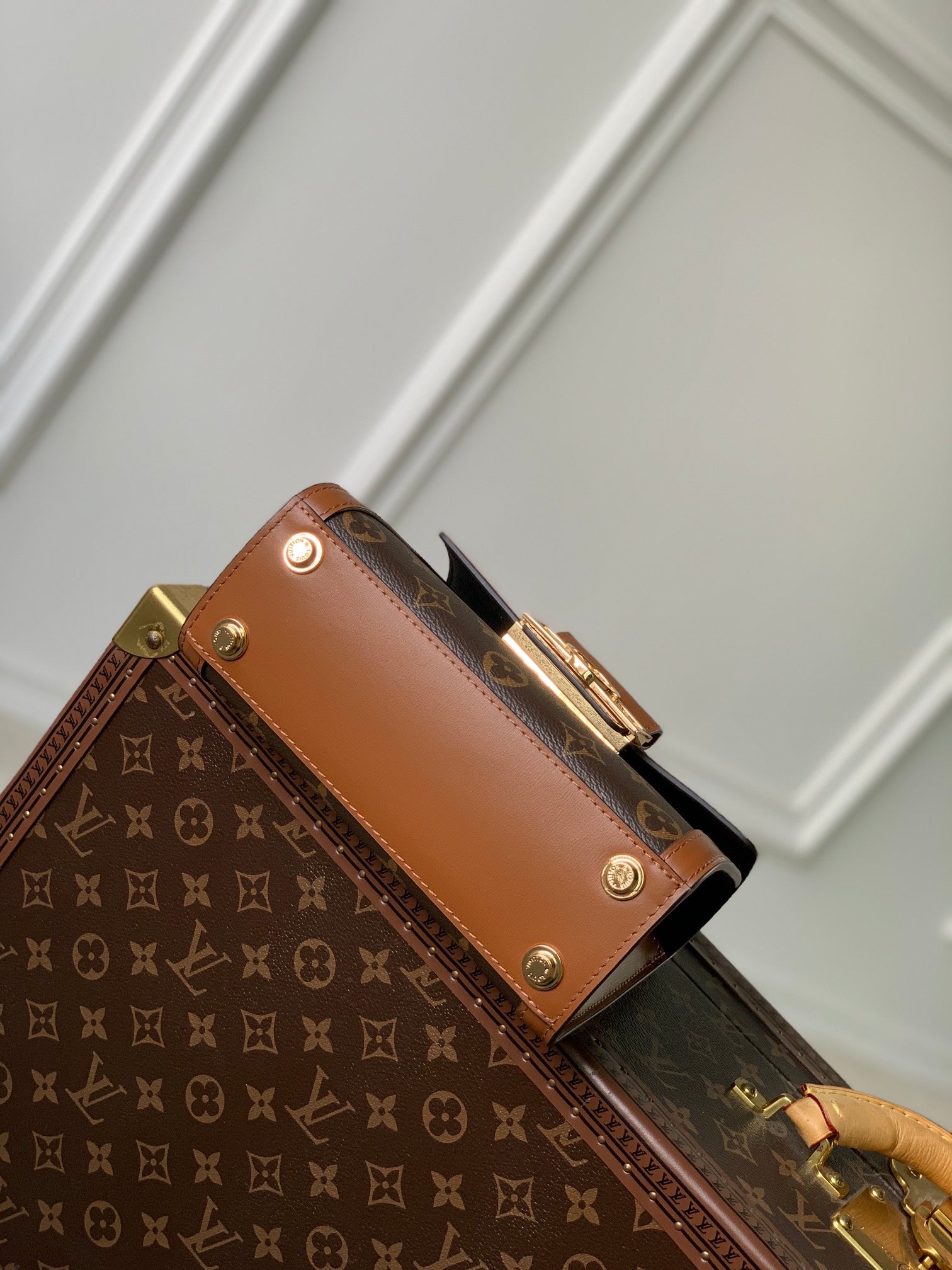 Louis Vuitton Dauphine MM Monogram & Monogram Reverse Canvas Bag
