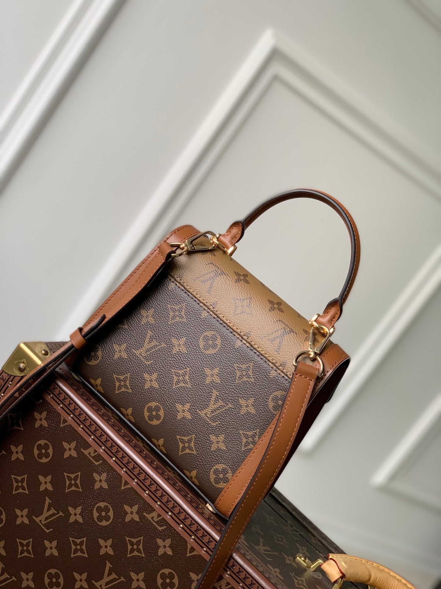 Louis Vuitton Dauphine MM Monogram & Monogram Reverse Canvas Bag