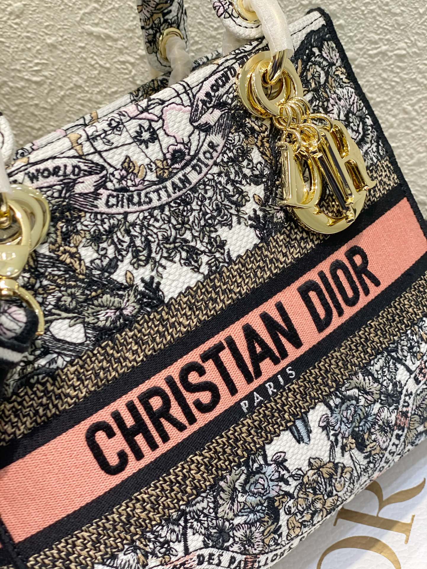 Christian Dior Lady D-Lite Embroidered Canvas Bag - Medium