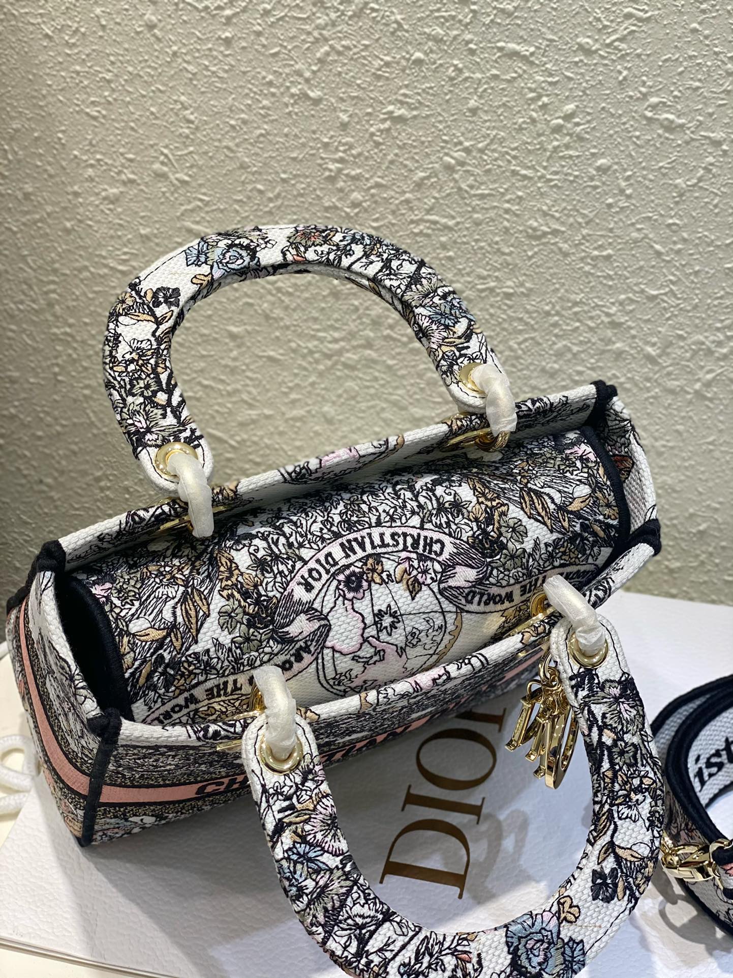 Christian Dior Lady D-Lite Embroidered Canvas Bag - Medium