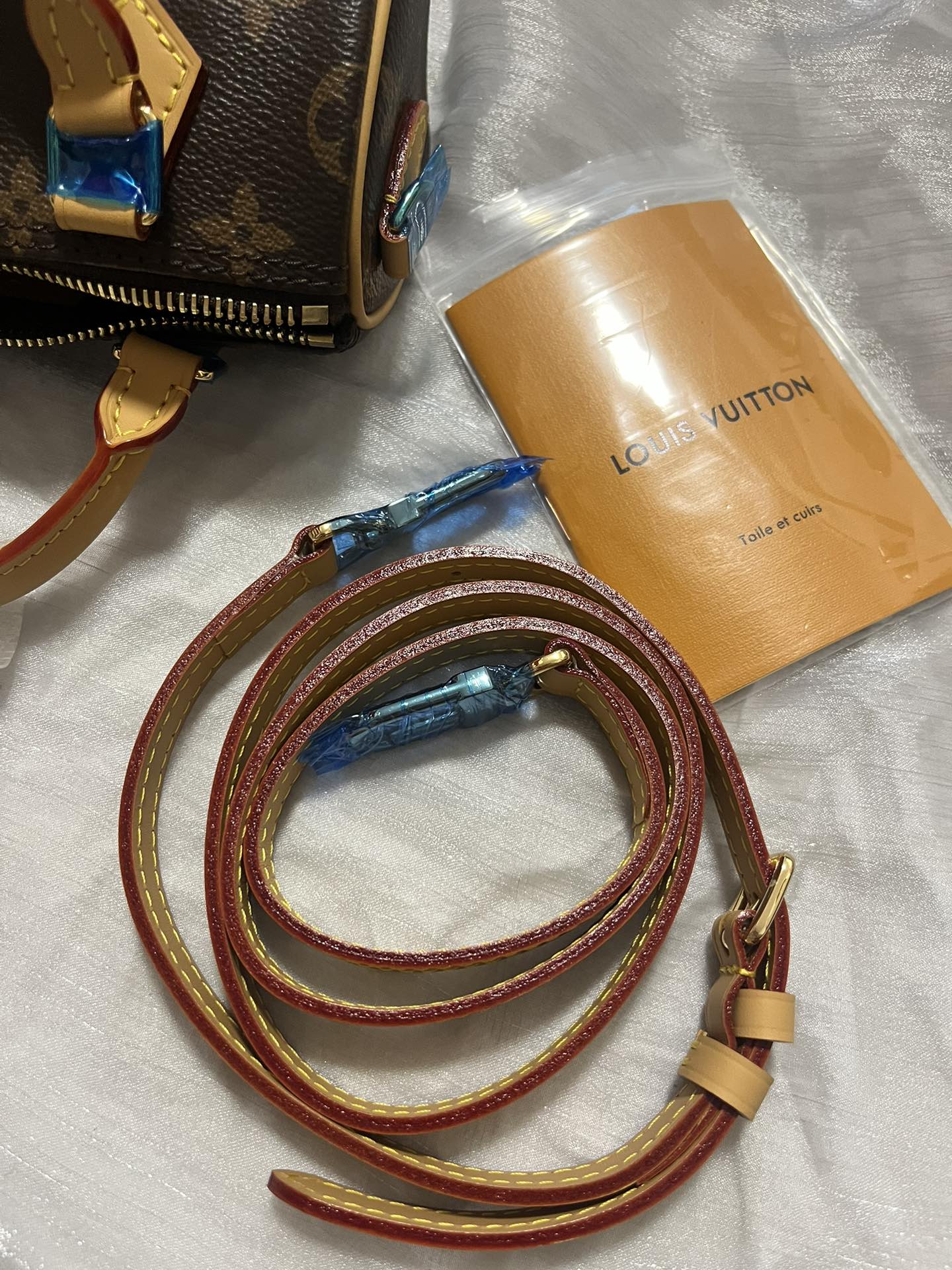Louis Vuitton Nano Speedy Monogram Canvas Crossbody Handbag