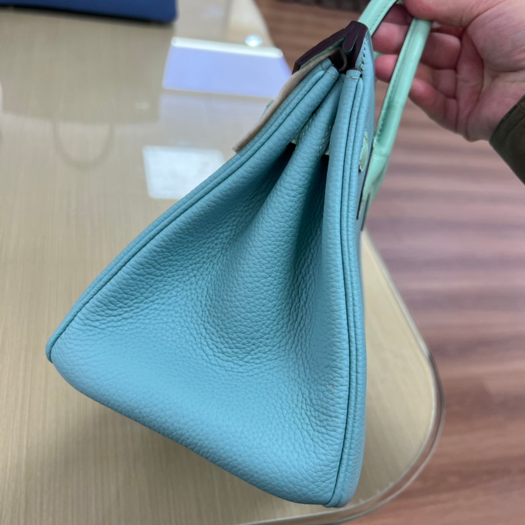 Luxury Two-Tone Leather Handbag in Turquoise and Mint Green with Silver Hardware