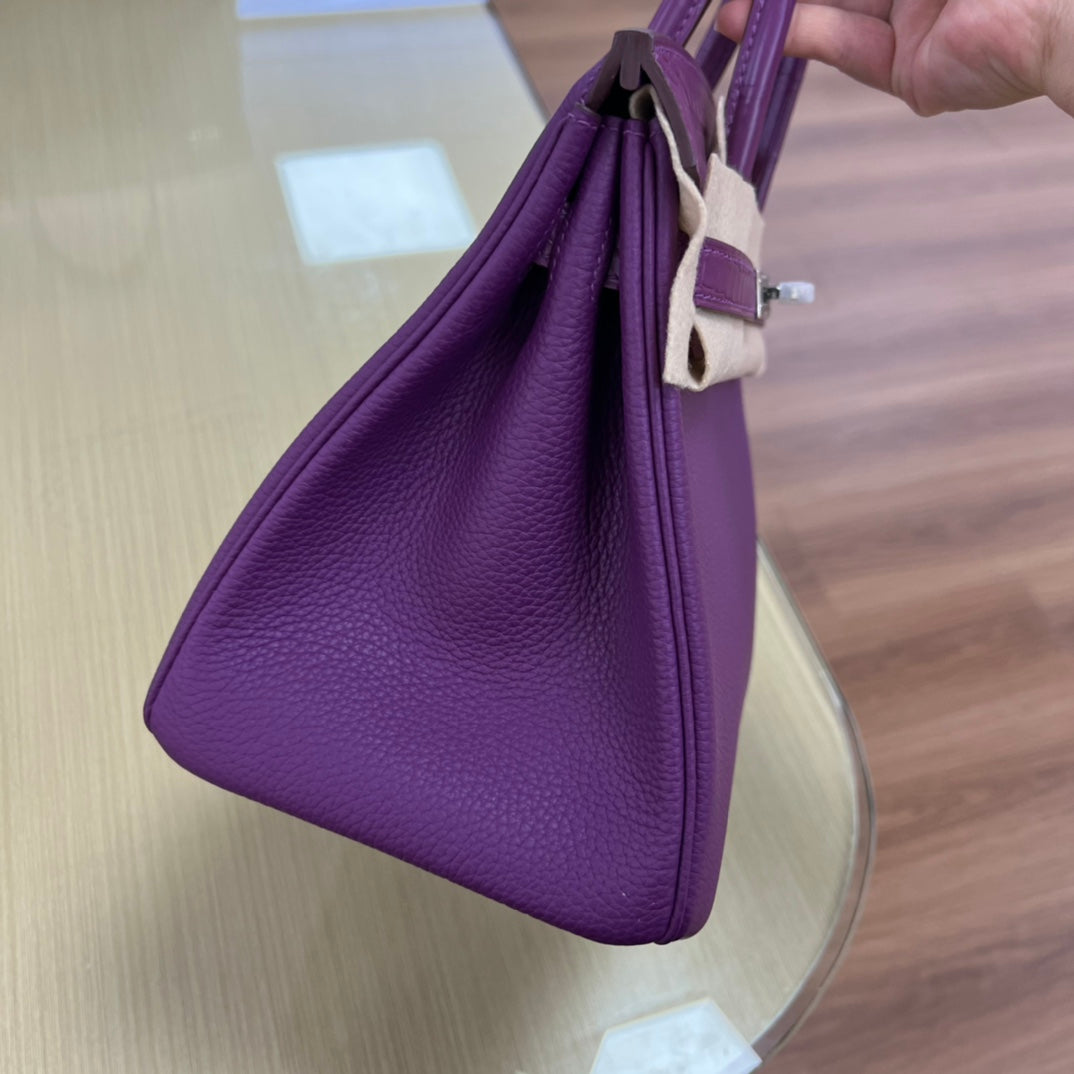 Elegant Purple Leather Top Handle Handbag with Silver Hardware