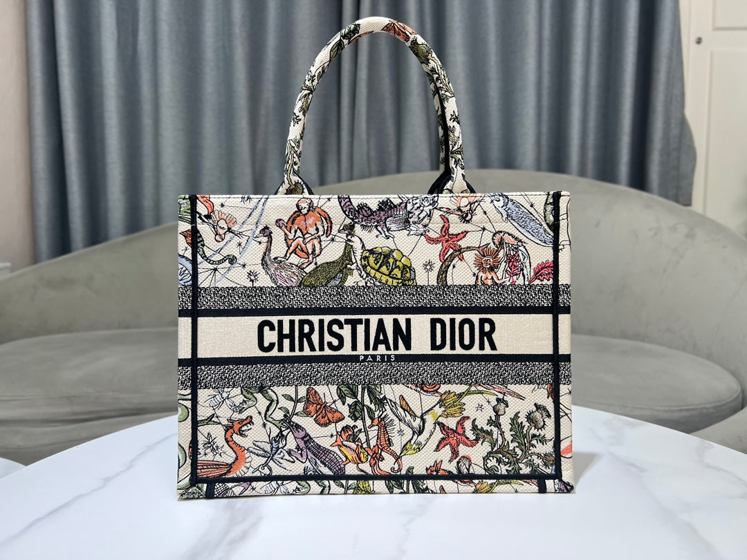Christian Dior Book Tote - Multicolor Toile de Jouy Voyage Embroidery