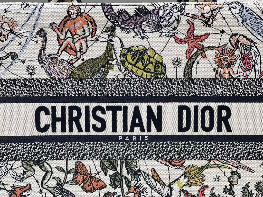 Christian Dior Book Tote - Multicolor Toile de Jouy Voyage Embroidery