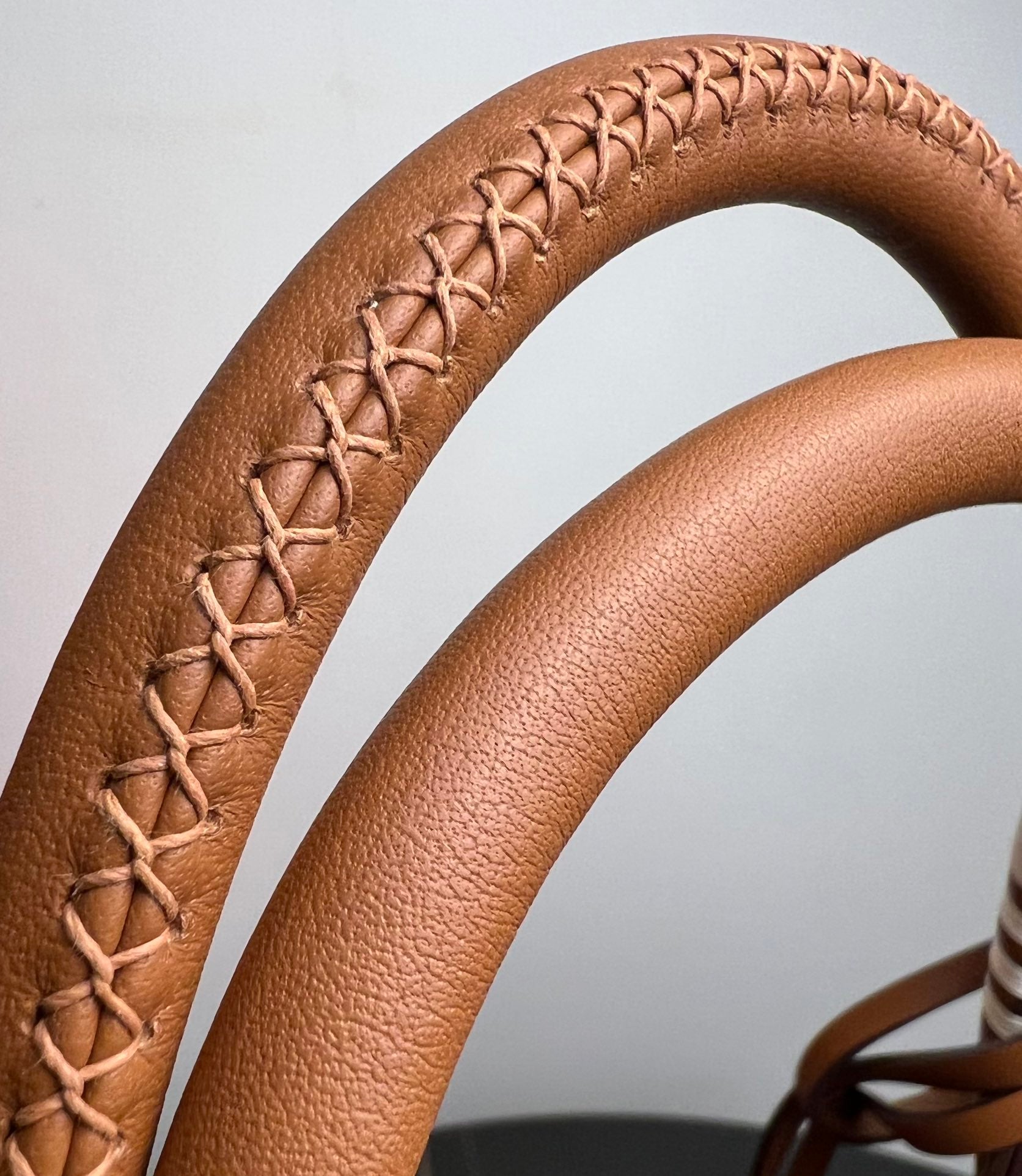 Luxury Stirrup Print Canvas Handbag with Brown Leather Detail