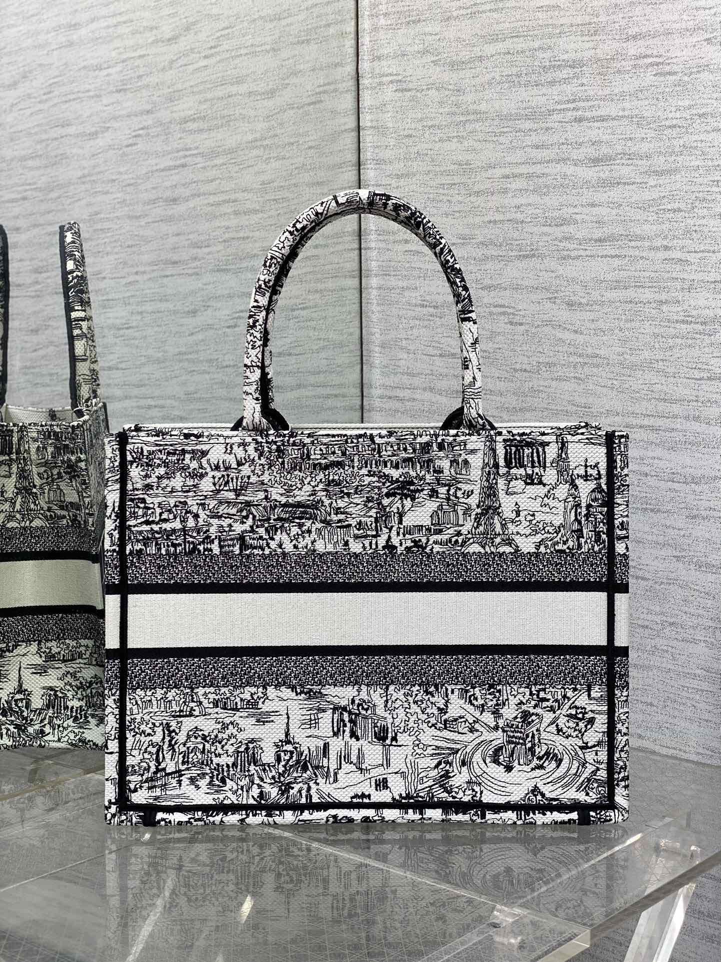 Christian Dior Large Book Tote Bag Plan de Paris Embroidery - Black and White