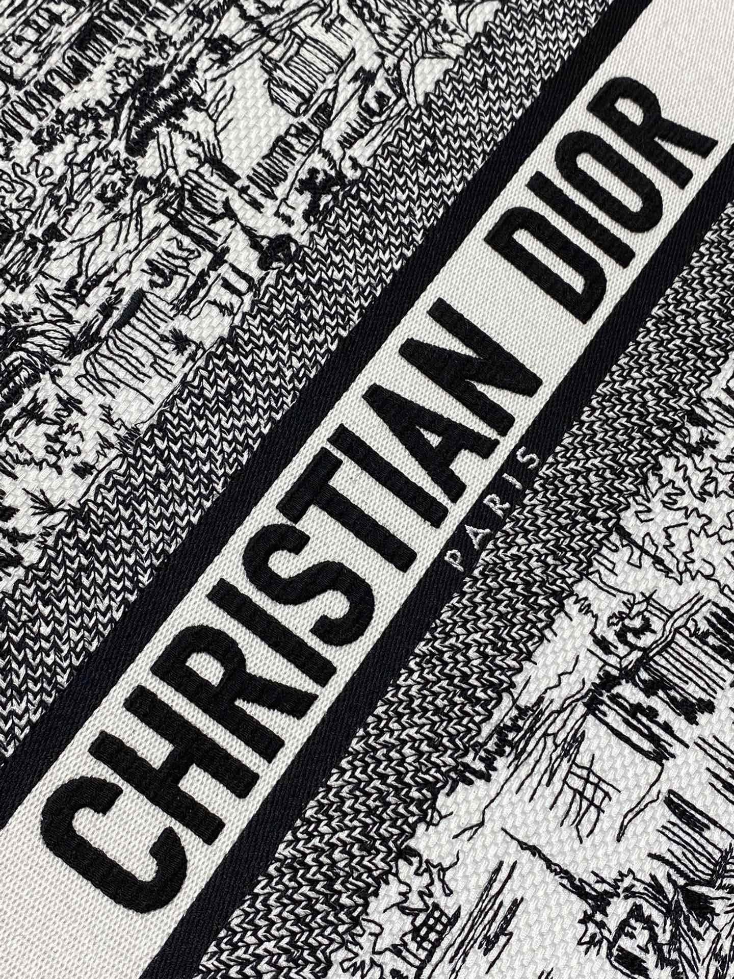Christian Dior Book Tote Medium Plan de Paris Embroidery Canvas Bag