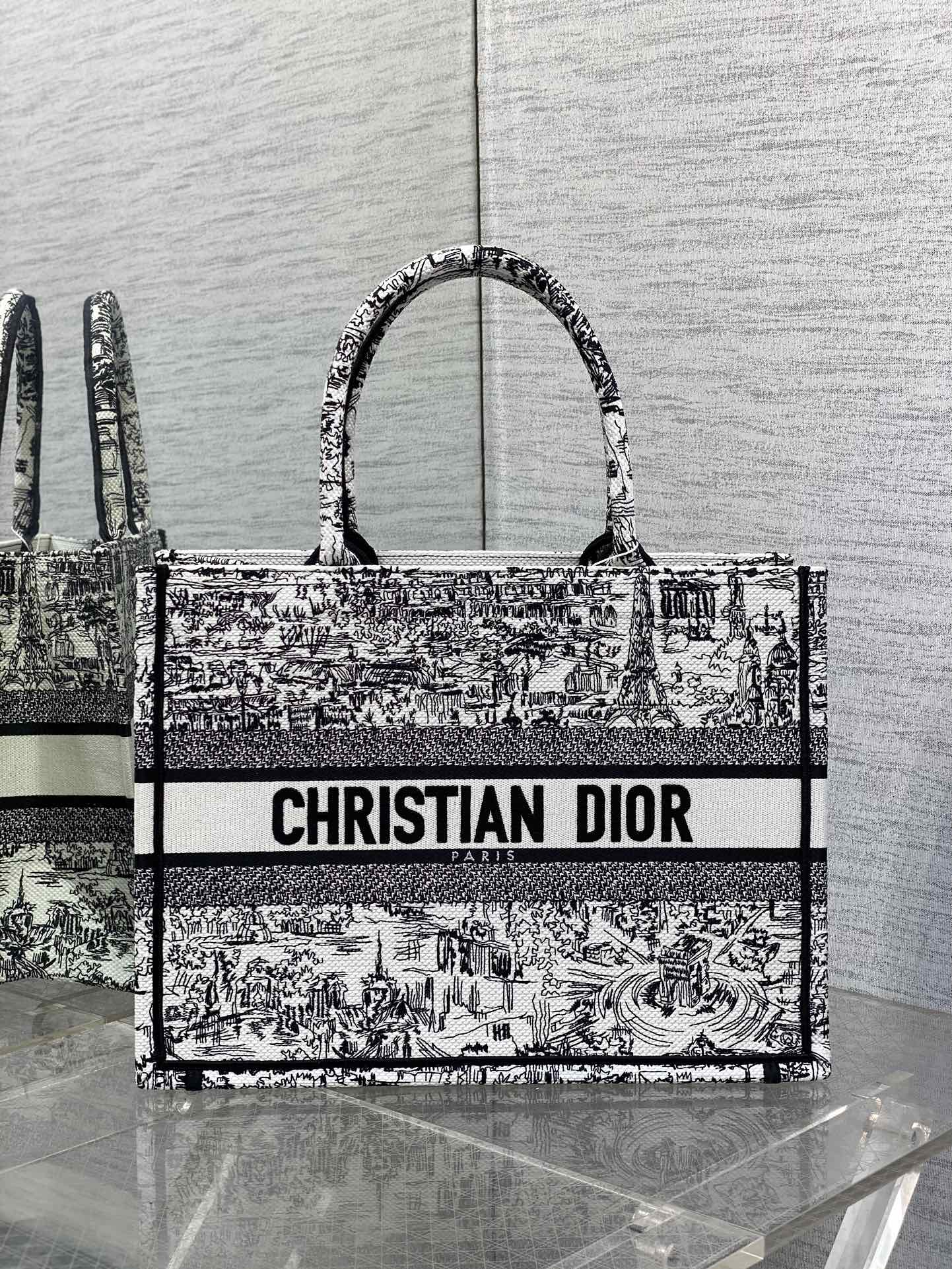 Christian Dior Large Book Tote Black and White Plan de Paris Embroidery