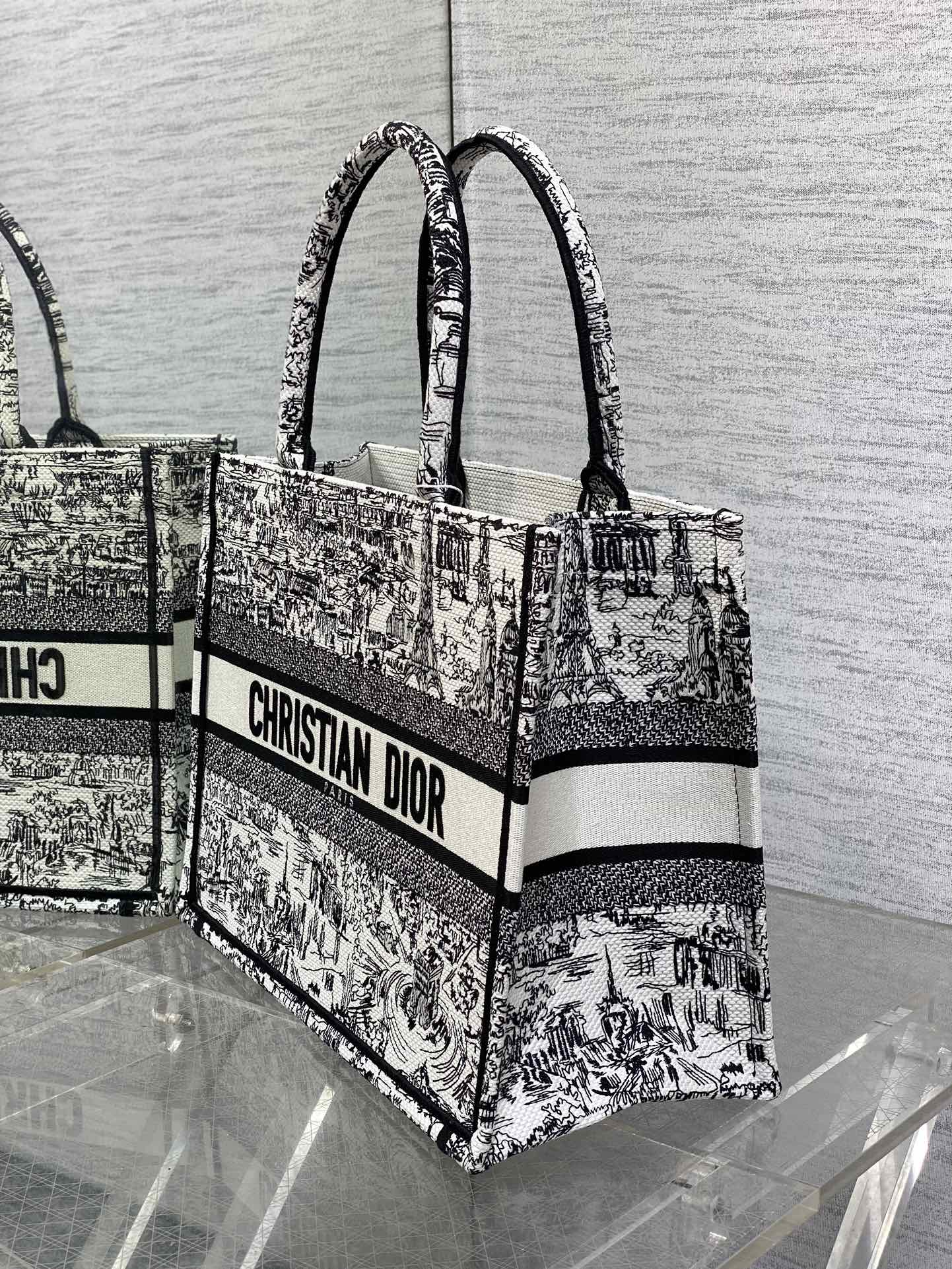 Christian Dior Medium Book Tote Bag - White and Black Plan de Paris Embroidery